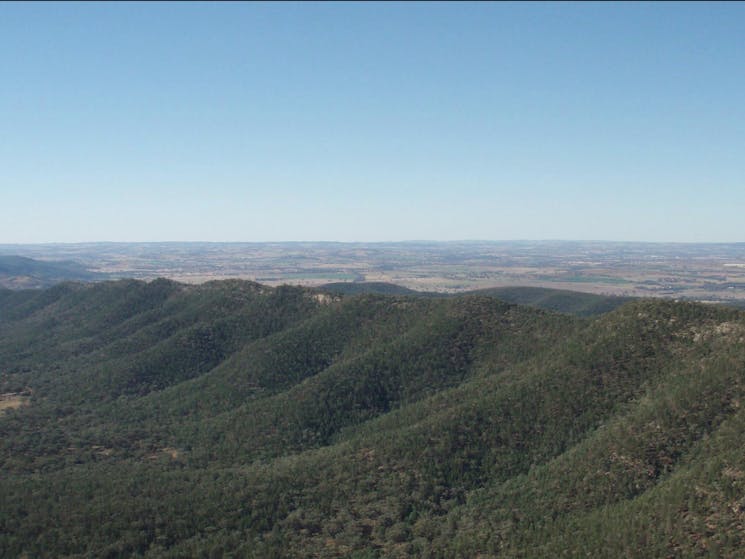 Mount Nangar hiking track, Nangar National Park. Photo: A Lavender/NSW Government