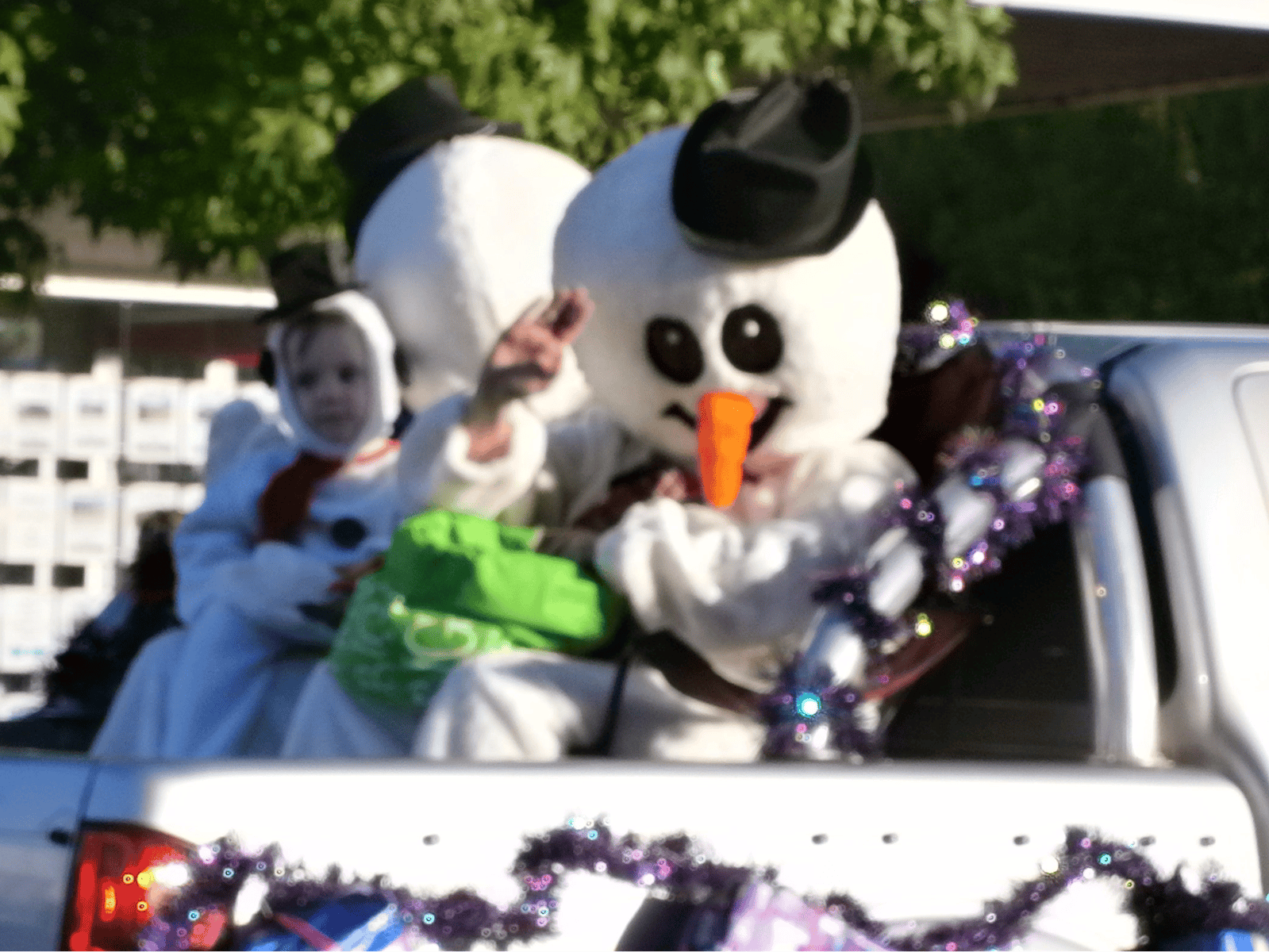 Collie Lions Christmas Pageant