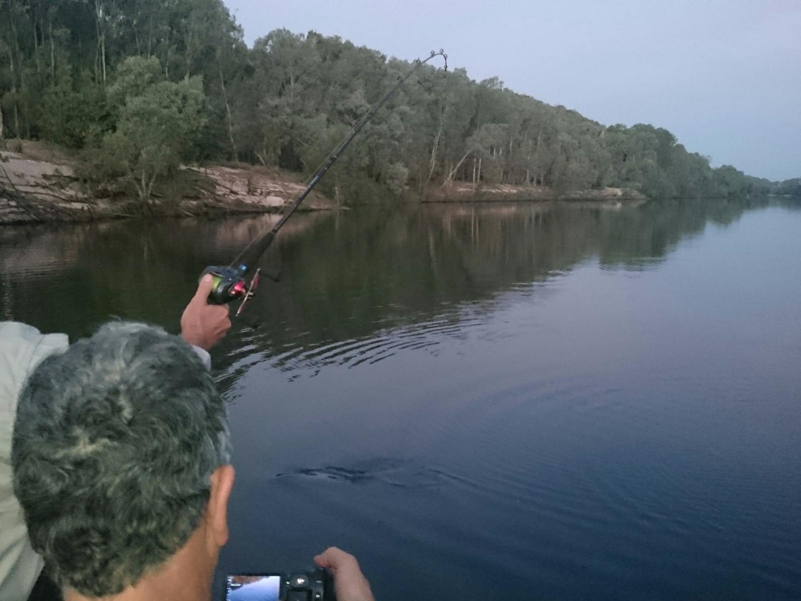 Beautiful East alligator River