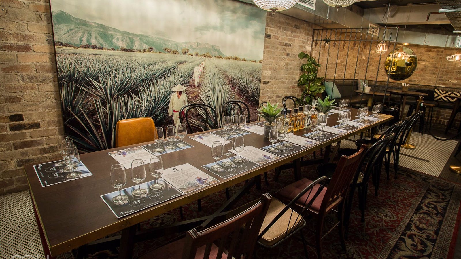 Barrio Cellar