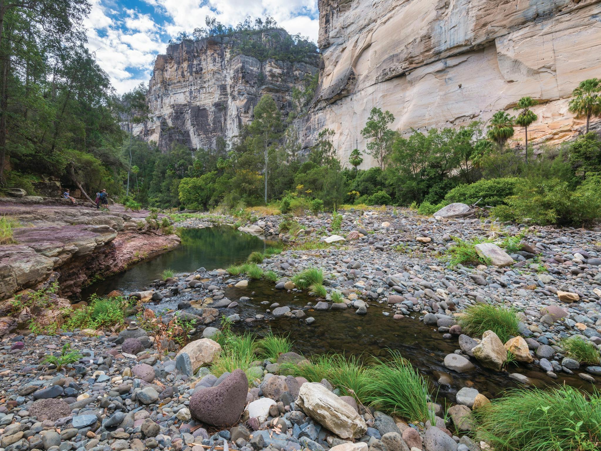 Carnarvon Gorge Carnarvon Gorge