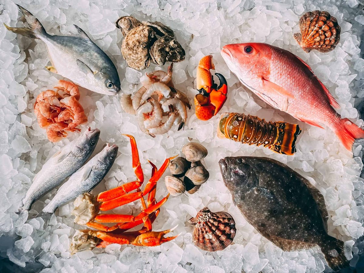 assorted seafood on ice