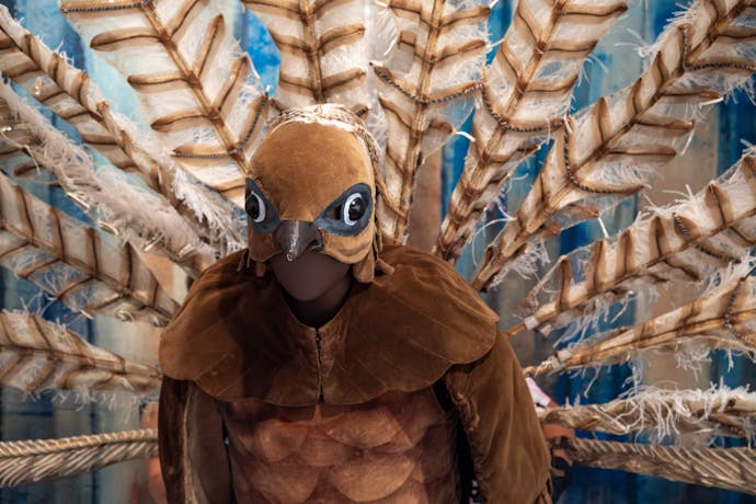 ‘The Male’ (Lyrebird) costume from The Display 1964 designed by Sidney Nolan