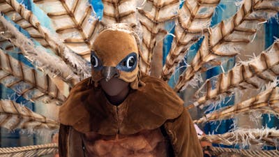 ‘The Male’ (Lyrebird) costume from The Display 1964 designed by Sidney Nolan