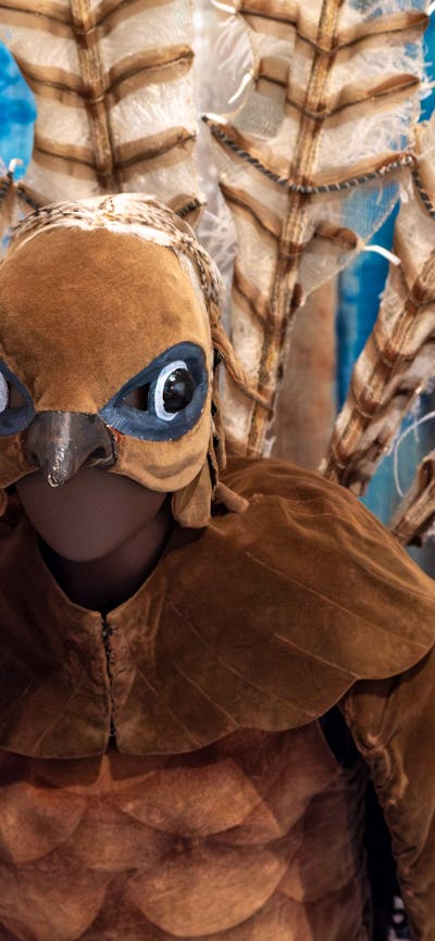 ‘The Male’ (Lyrebird) costume from The Display 1964 designed by Sidney Nolan