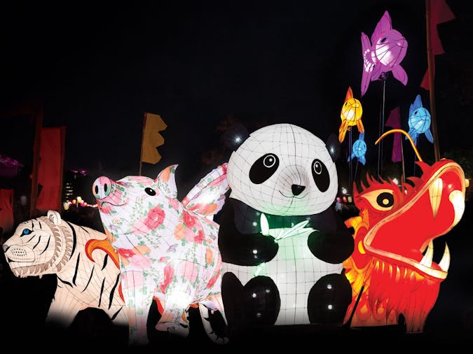 Moon Lantern Trail