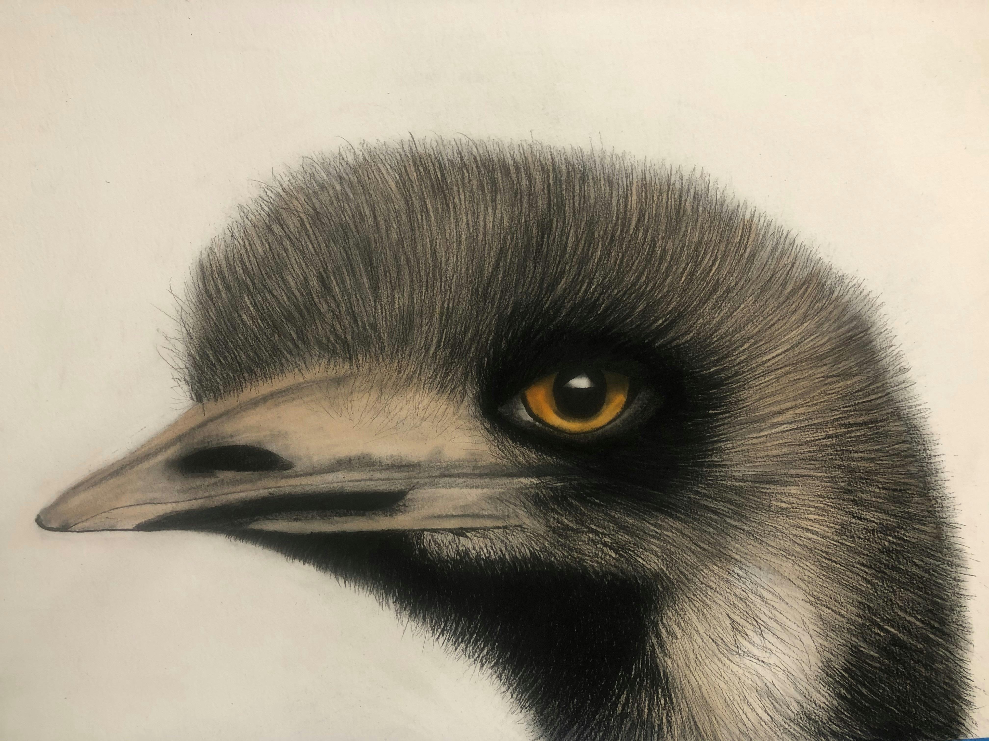 BIG, BOLD & BRIGHT Exhibition