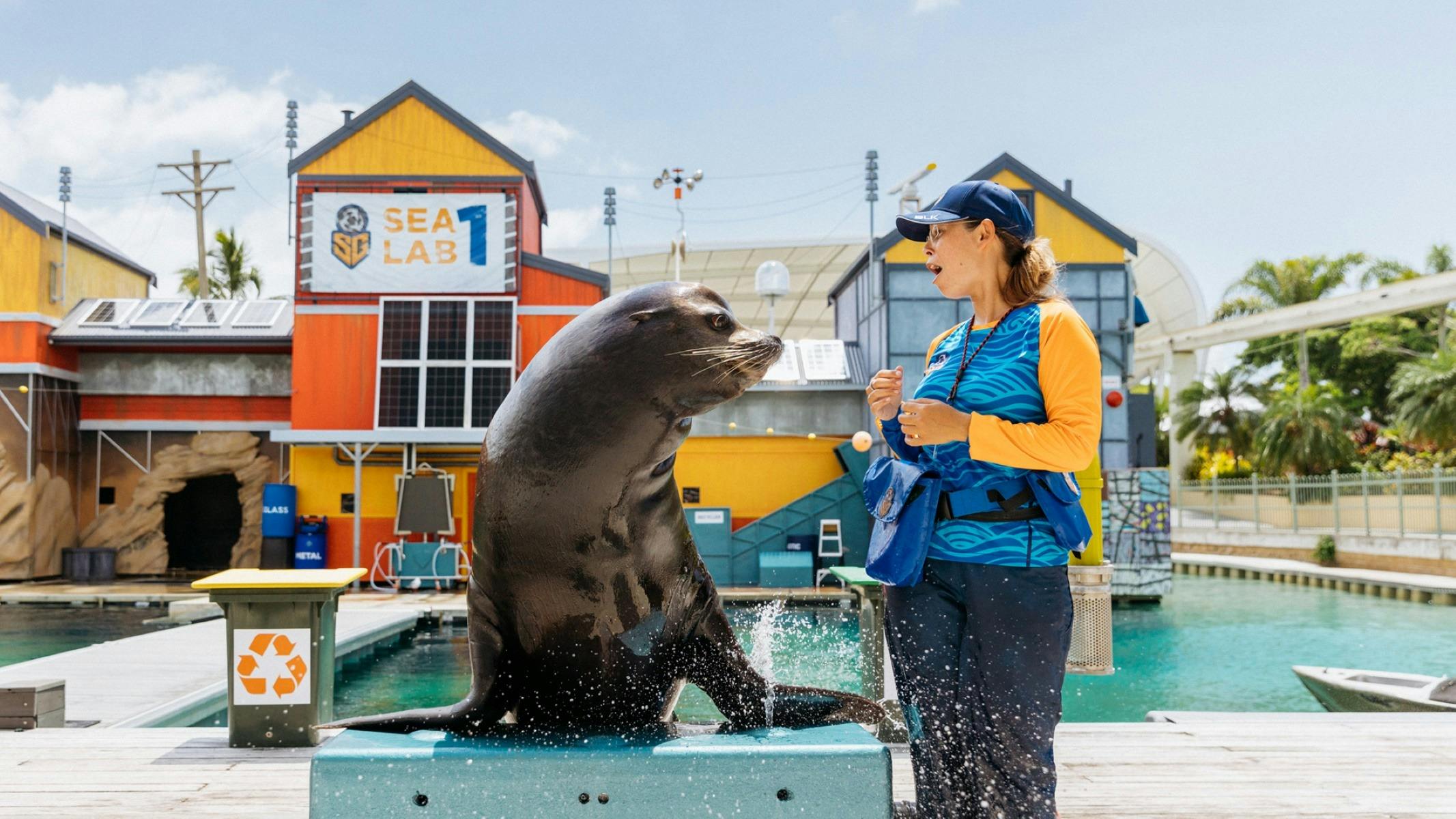 Seal Guardians Presentation - Sea World