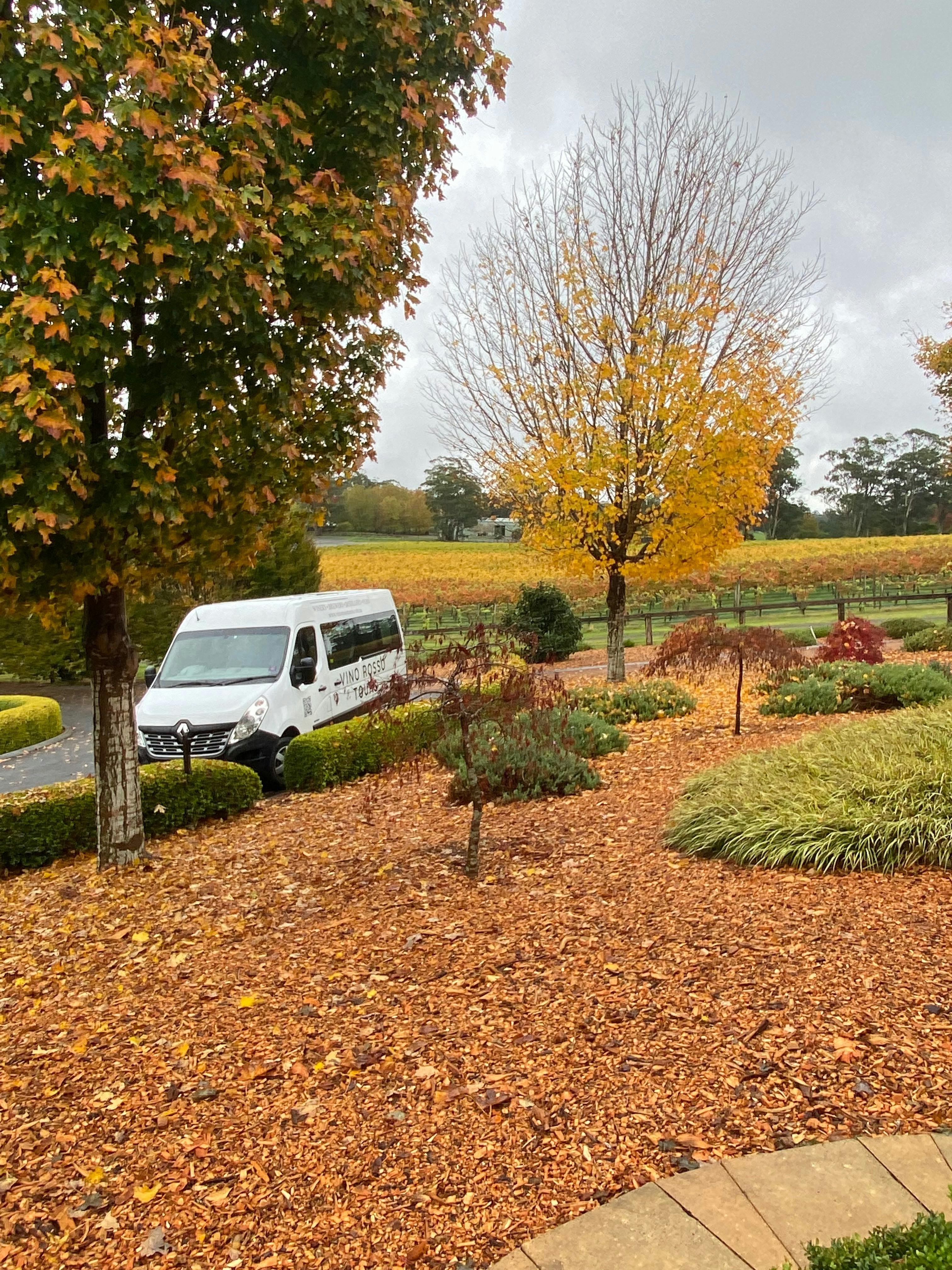 Vino Rosso Tours. -  Southern Highlands