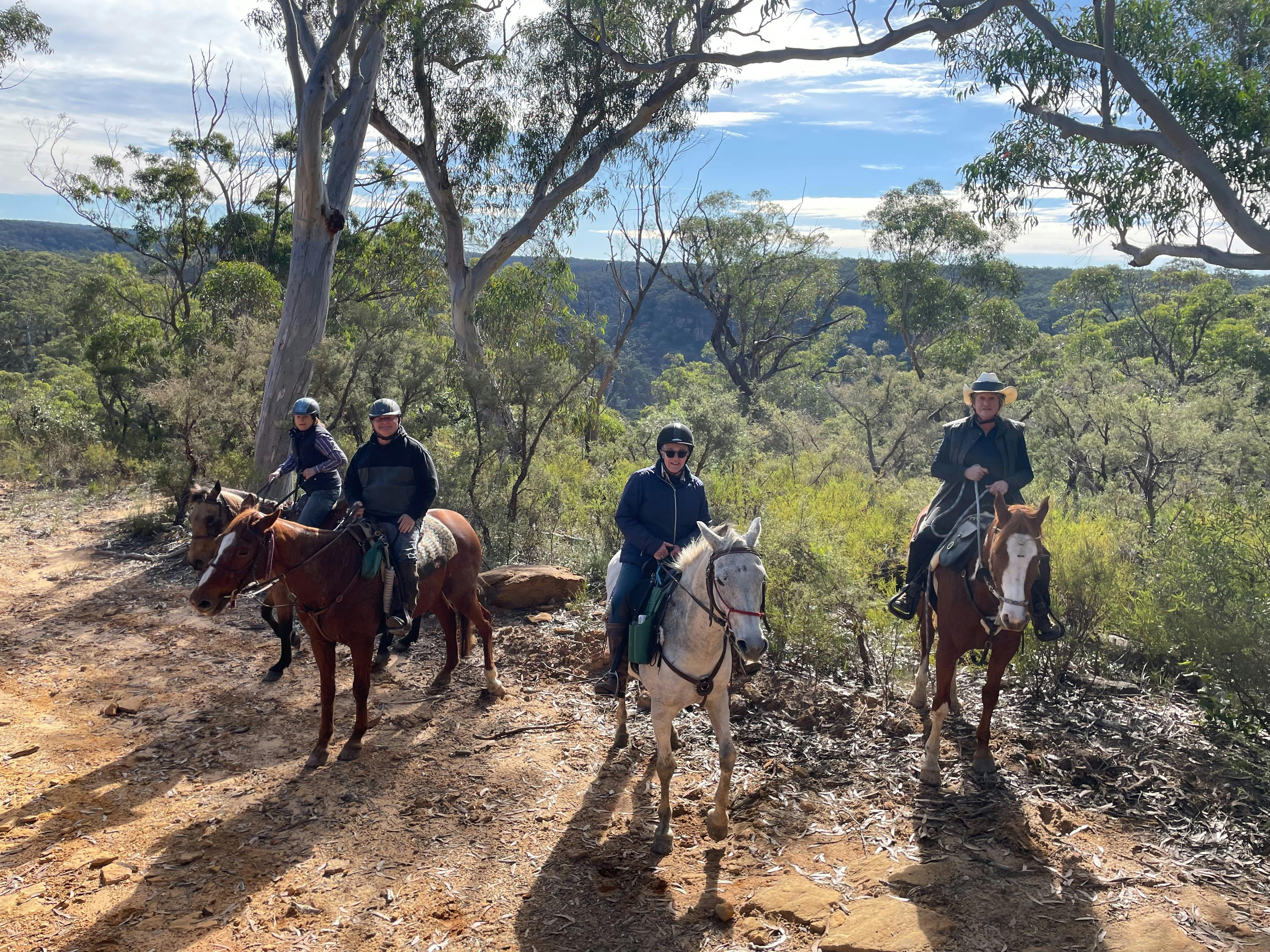 group of horse riders on forest trail