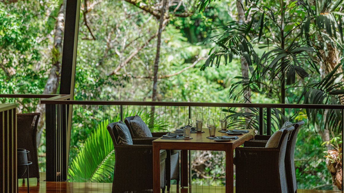 Rainforest Dining