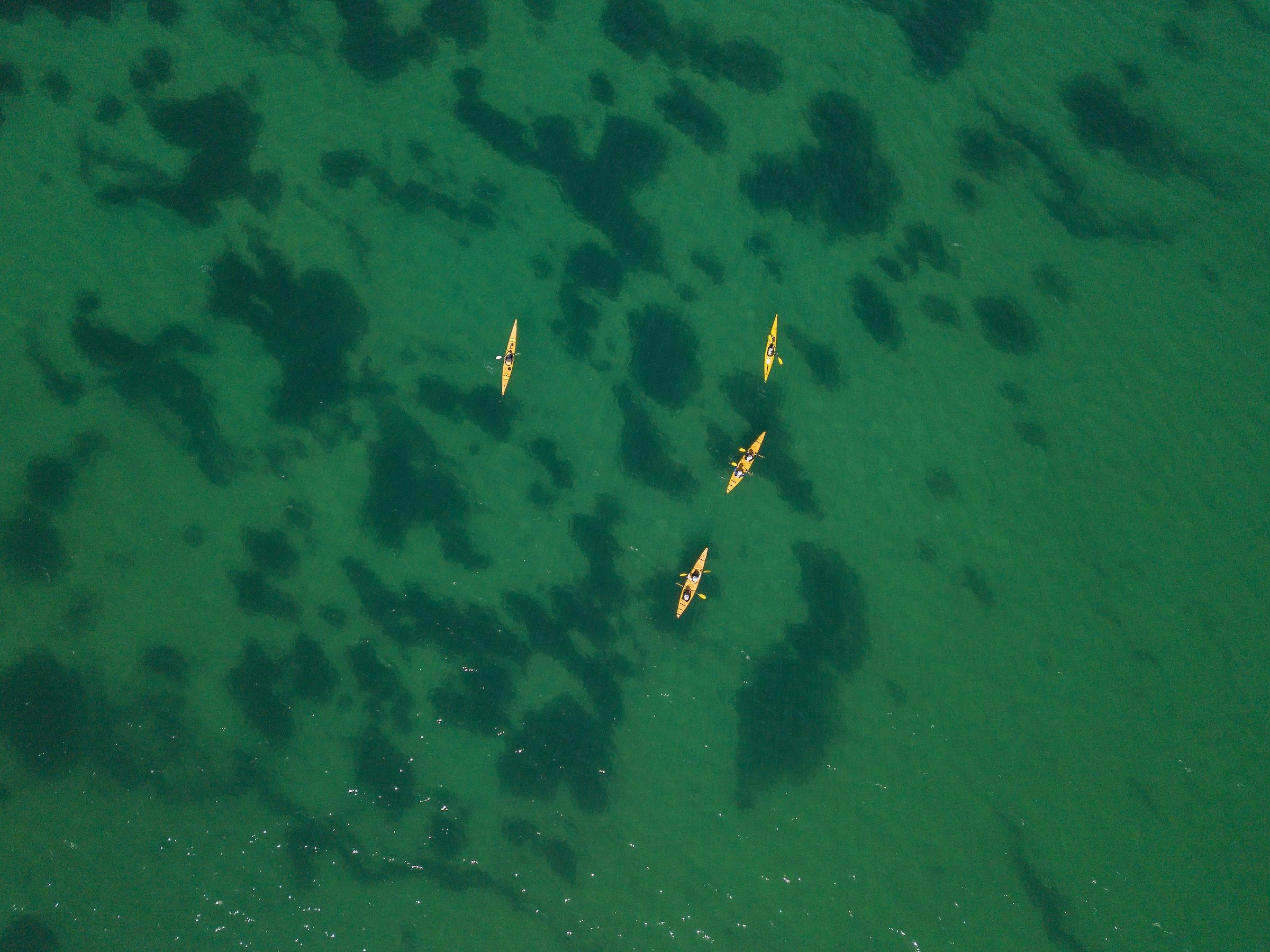 Shoalwater Islands Marine Park, Rockingham, Western Australia