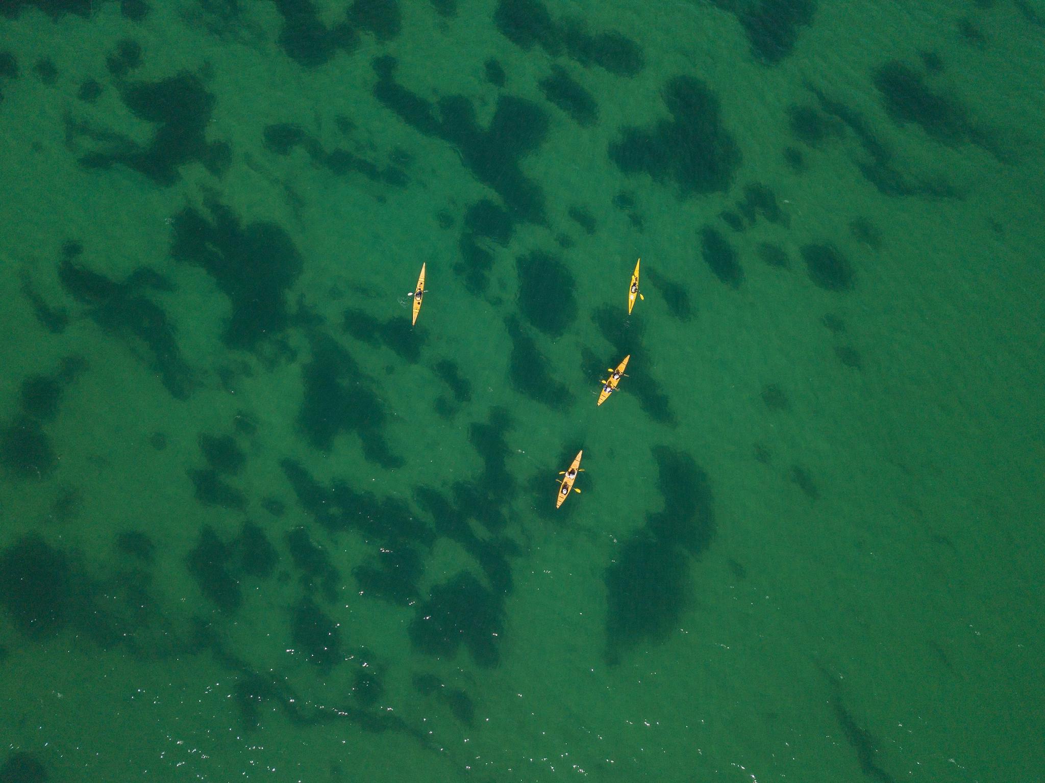 Shoalwater Islands Marine Park, Rockingham, Western Australia