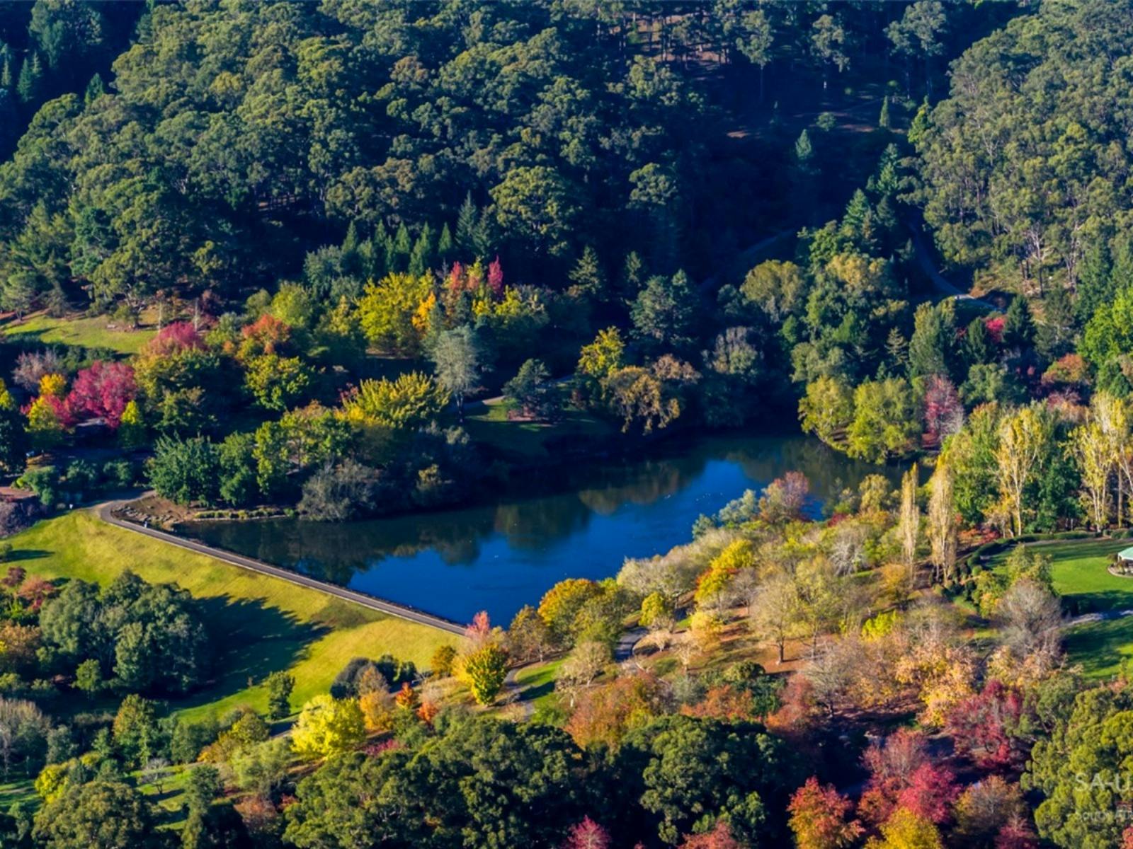 Mount Lofty Botanic Garden autumn colours