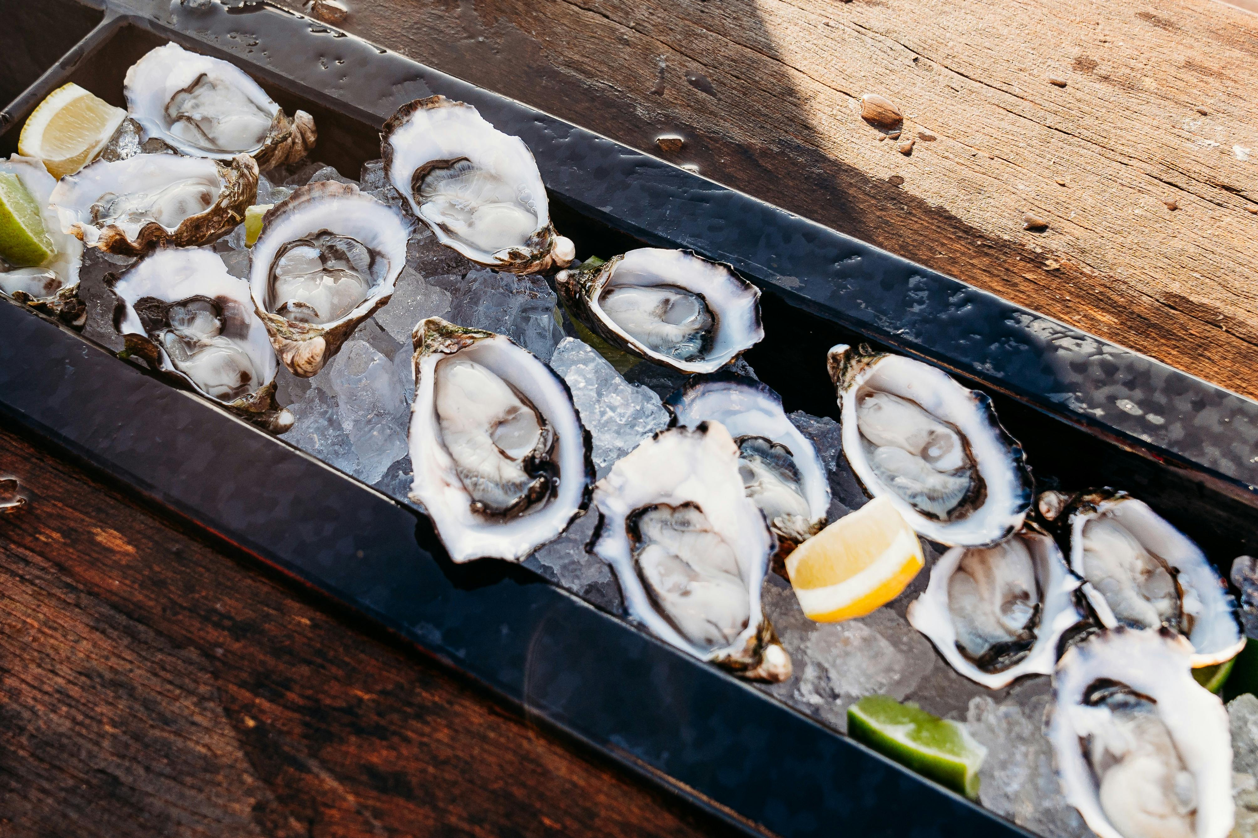 Oysters Plated