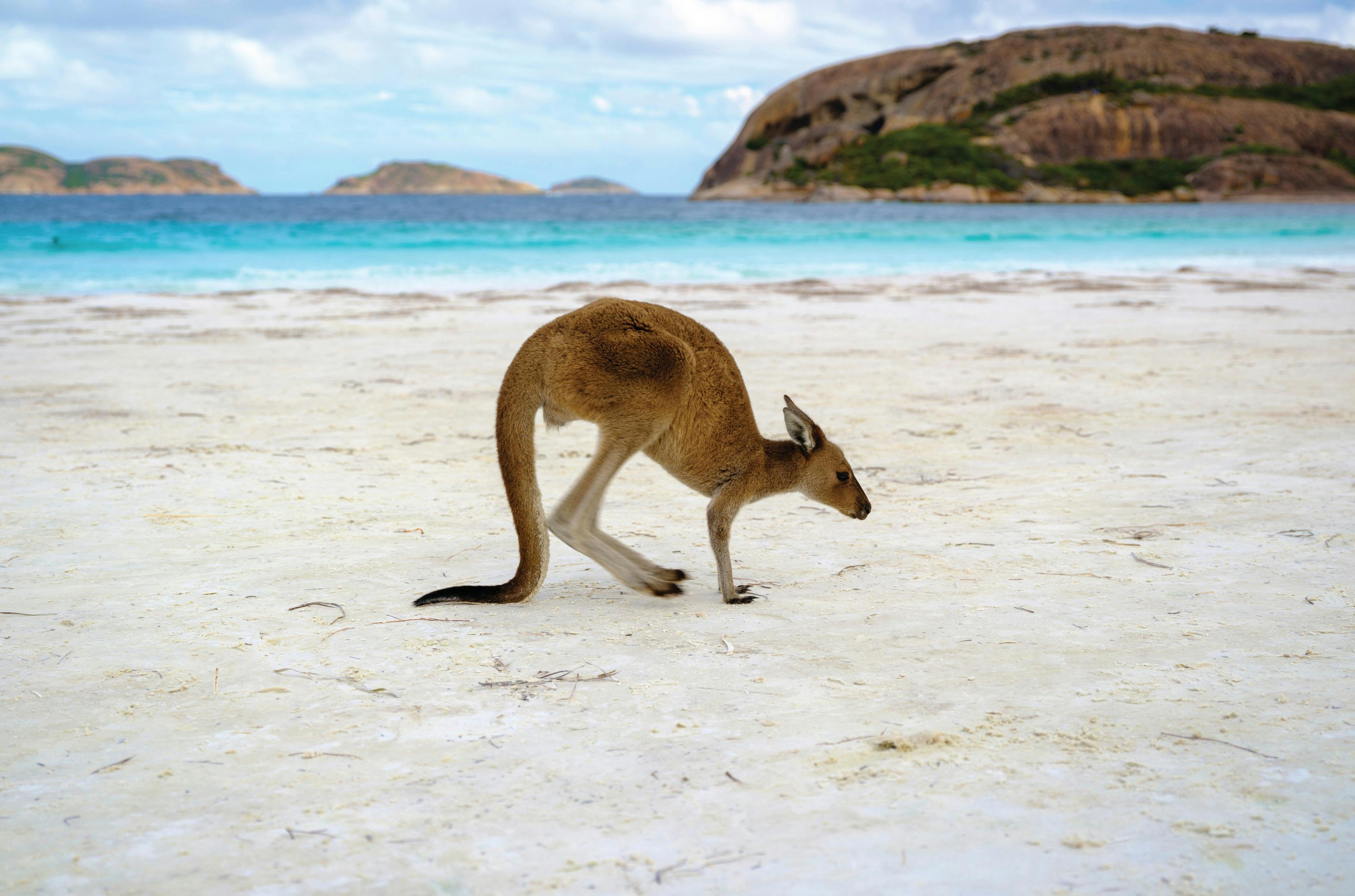 Lucky Bay