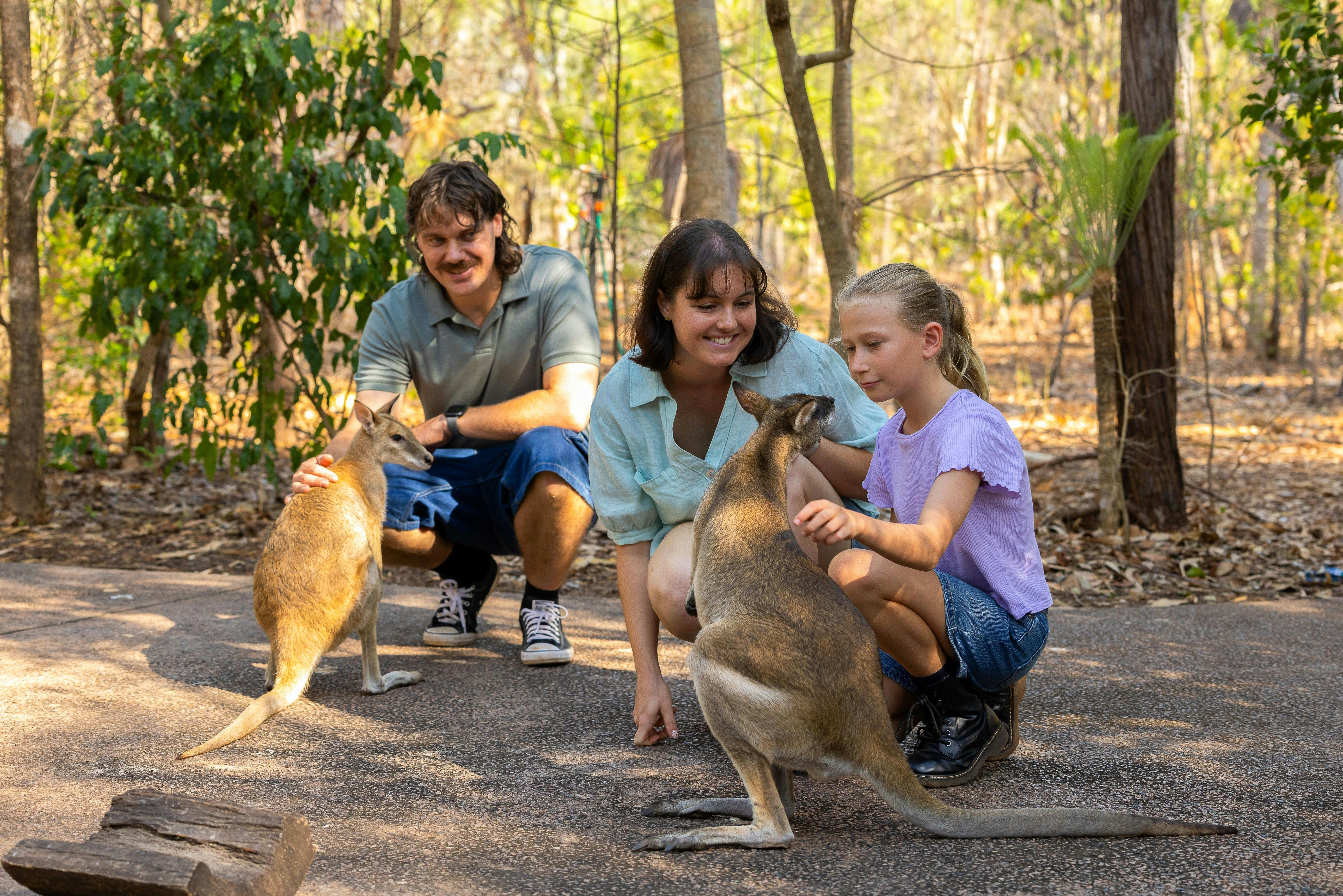 Get up close with iconic Top End wildlife at Territory Wildlife Park.