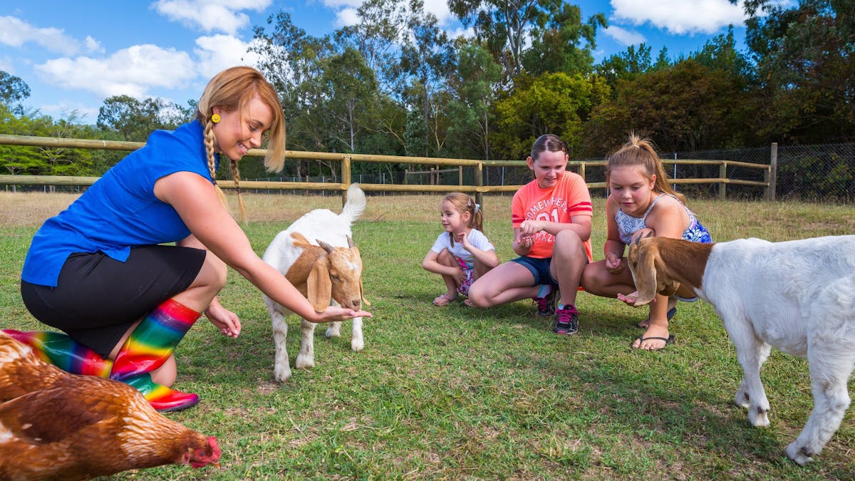 Animal feeding with all different types of farm animals at BIG4 Adventure Whitsunday Resort