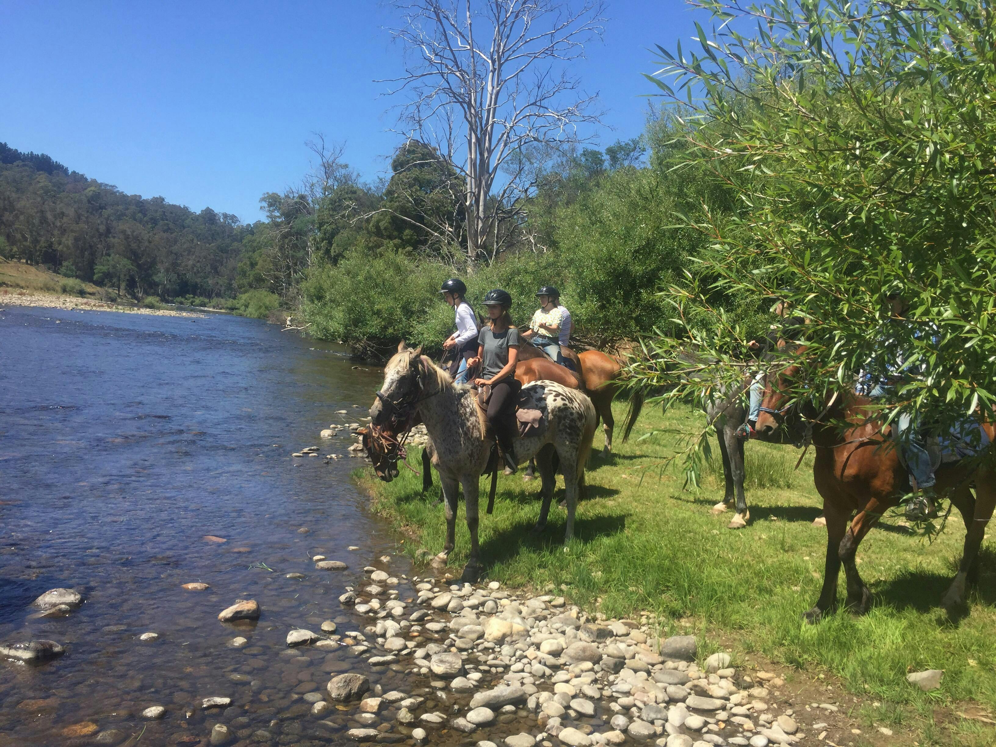 Cradle Country Adventures