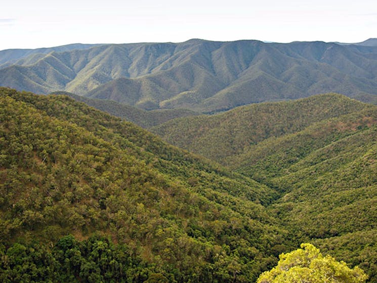 Oxley Wild Rivers National Parks. Photo: Rob Cleary/NSW Government