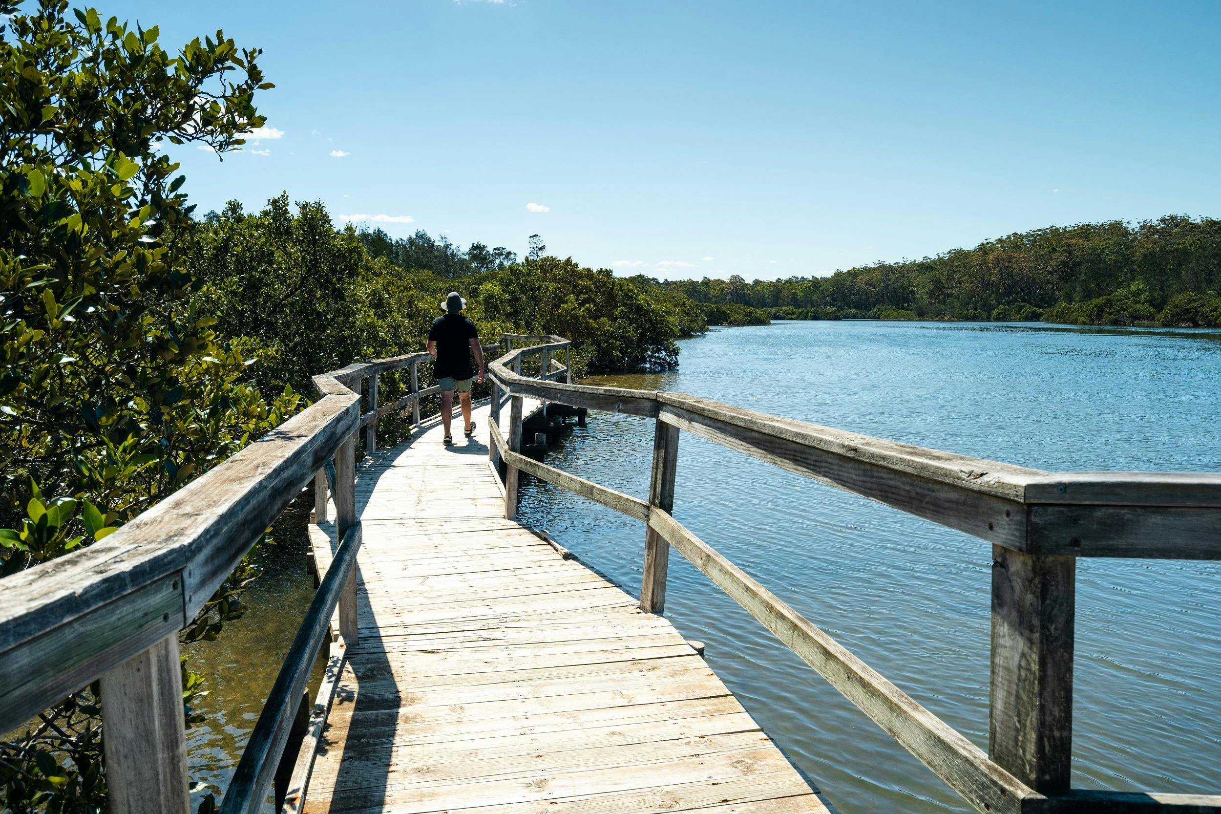 Mangrove Boardwalk