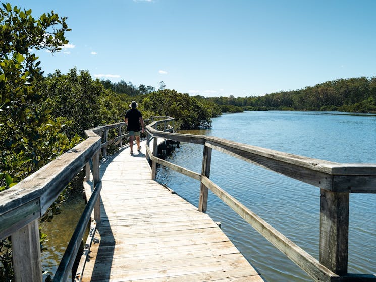 Mangrove Boardwalk