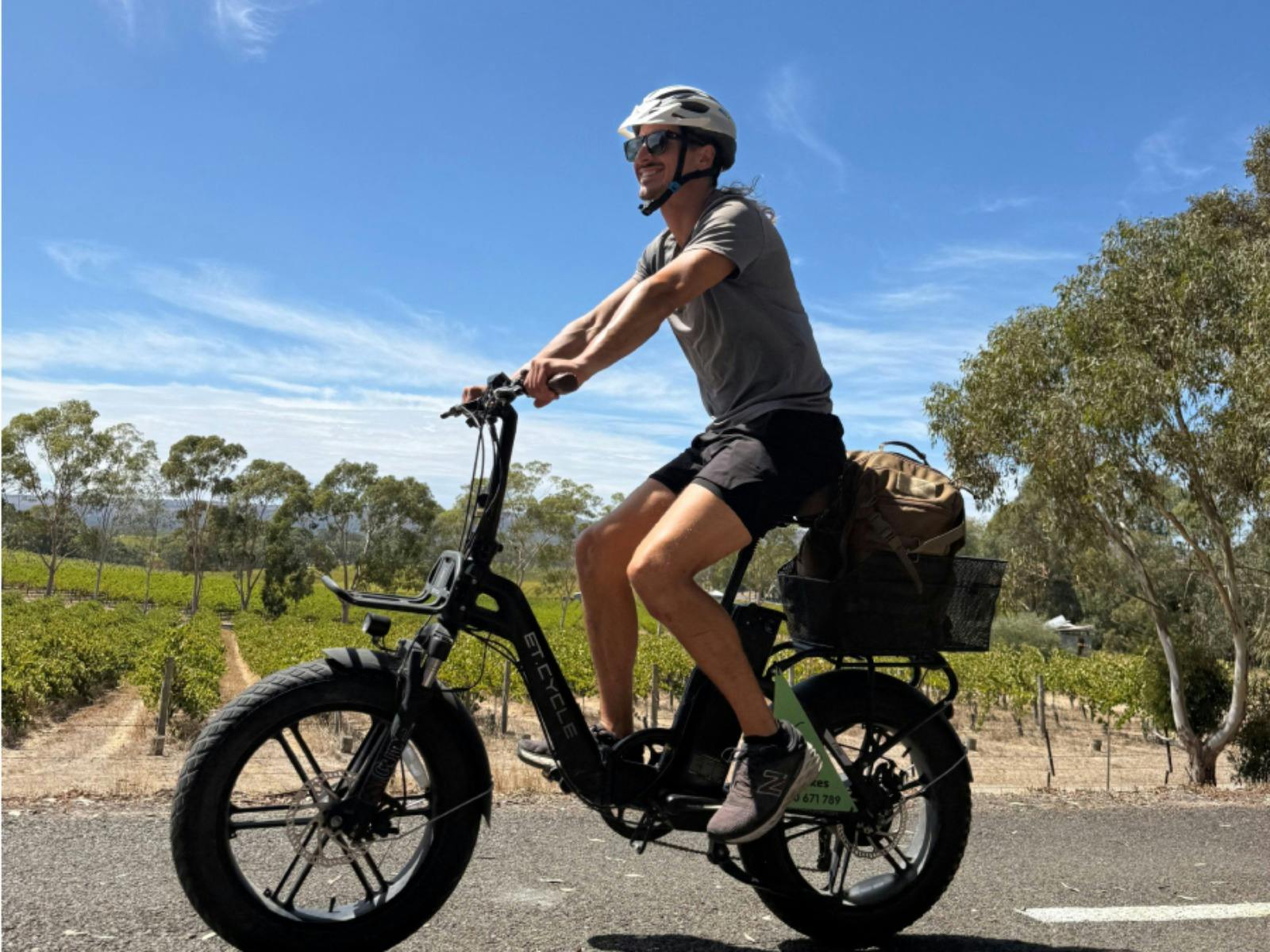 step through ebike