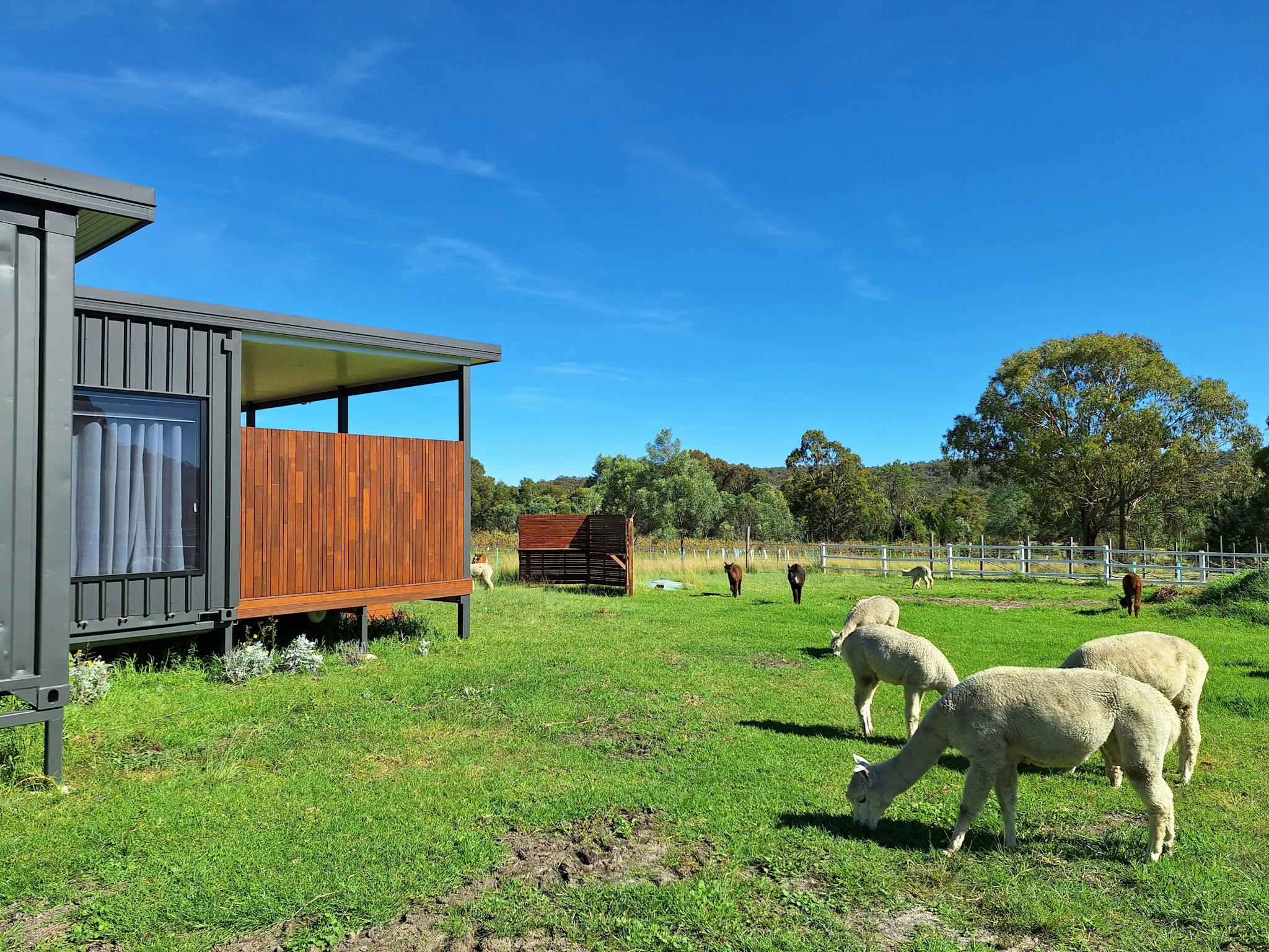 Gorgeous alpacas, and sustainable design principles were key in development of the Gin House concept Gorgeous alpacas, and sustainable design principles were key in development of the Gin House concept