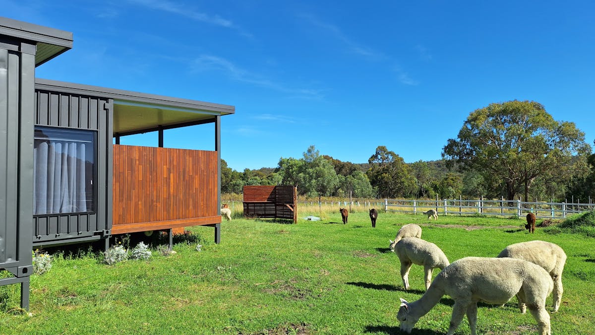 Gorgeous alpacas, and sustainable design principles were key in development of the Gin House concept
