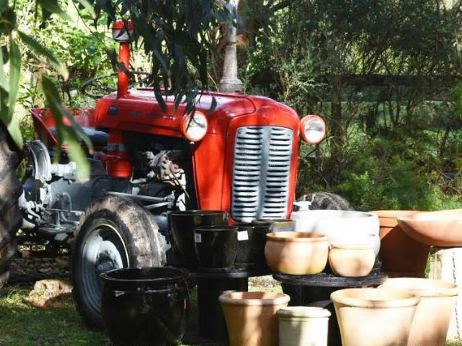 The Nursery and Florist- King Island