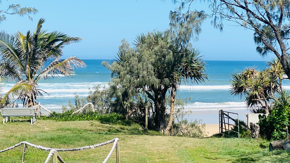 view from the The Haven