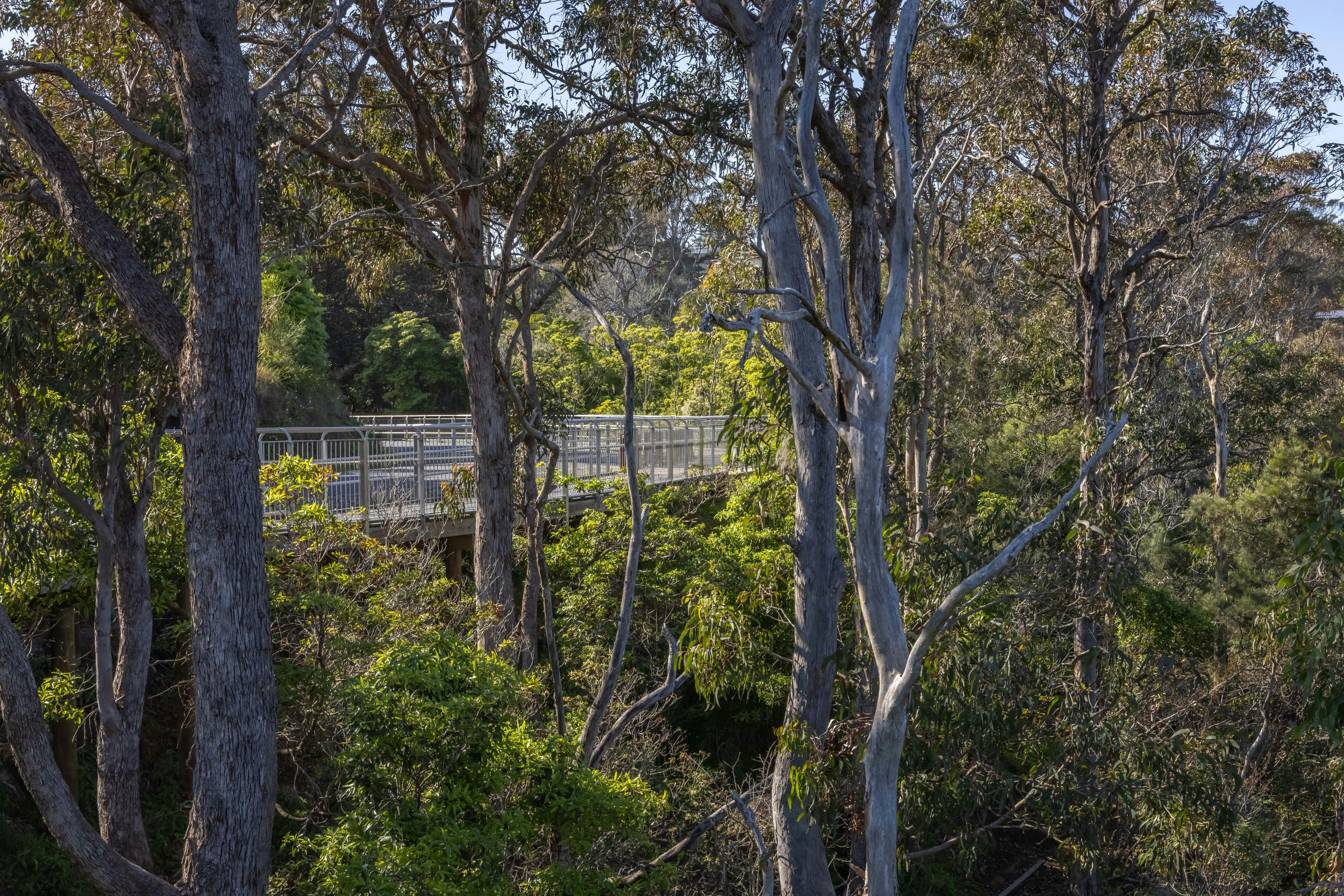 Merimbula, walking, Sapphire Coast, walks, south coast, beach, Bar Beach