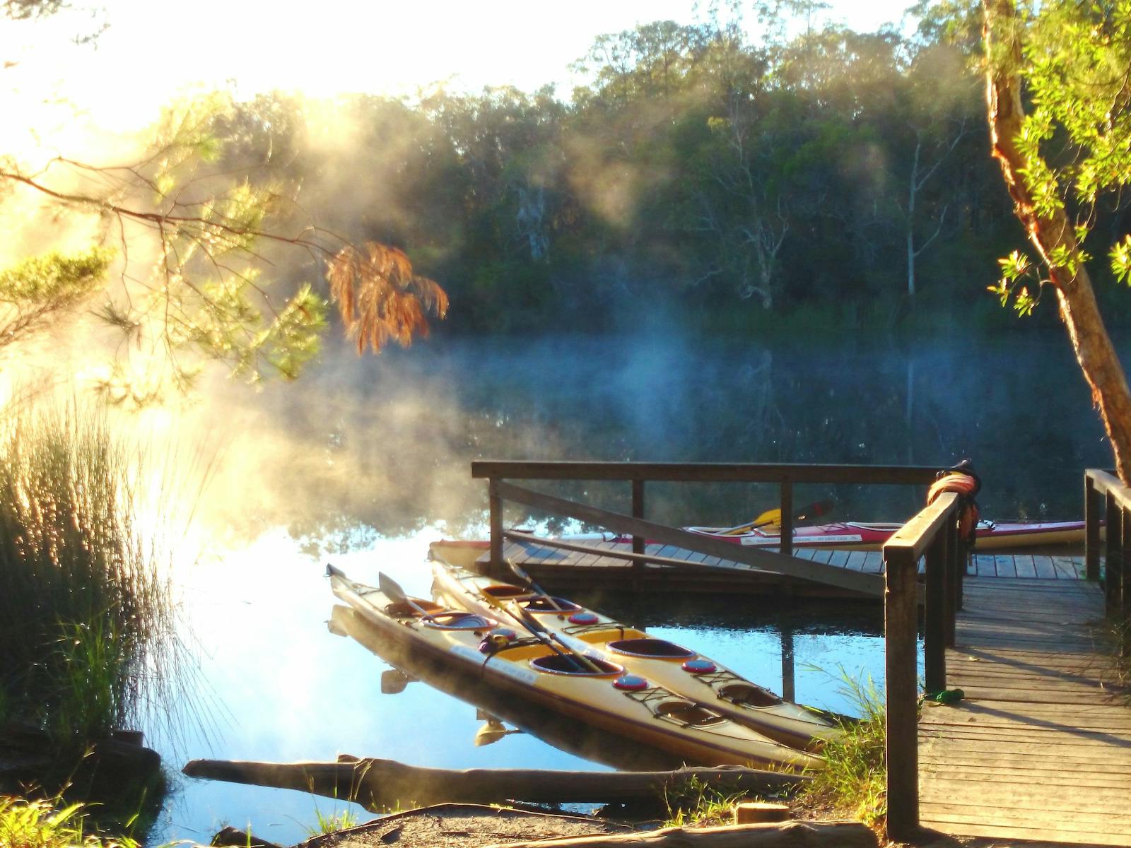 Morning at Harry's Hut camping area