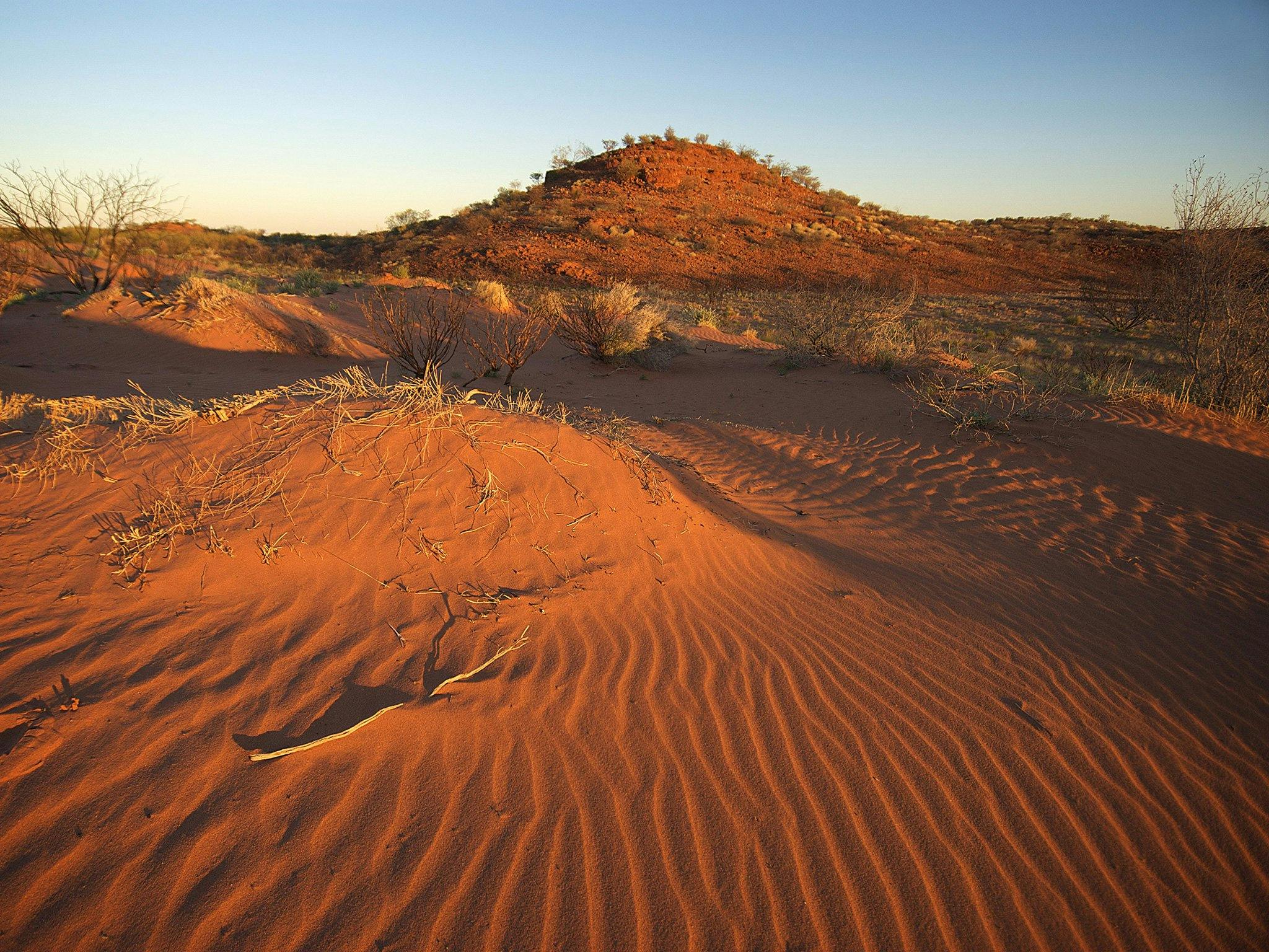 Newman, Western Australia