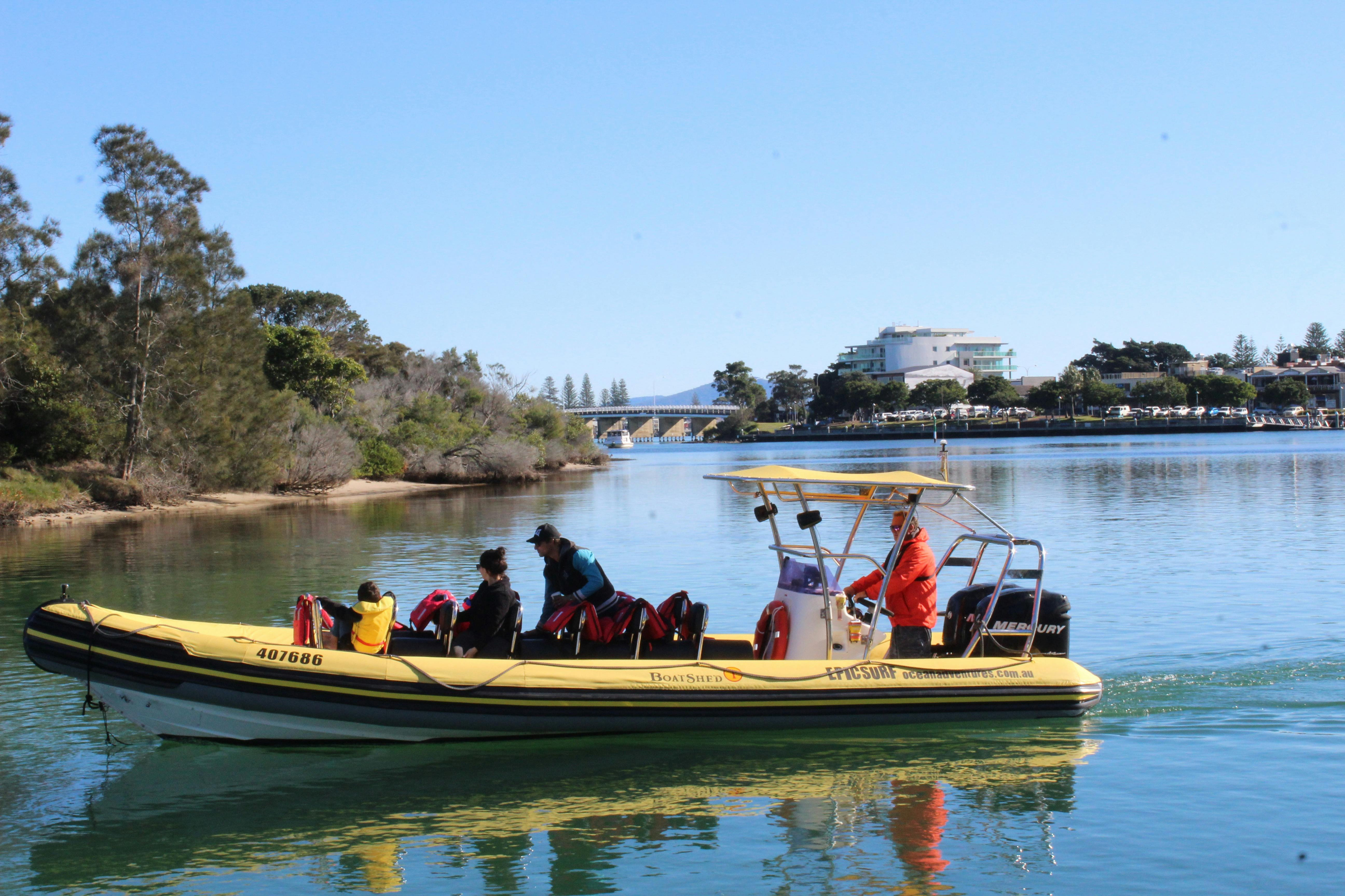Whale Watch Forster Barrington coast