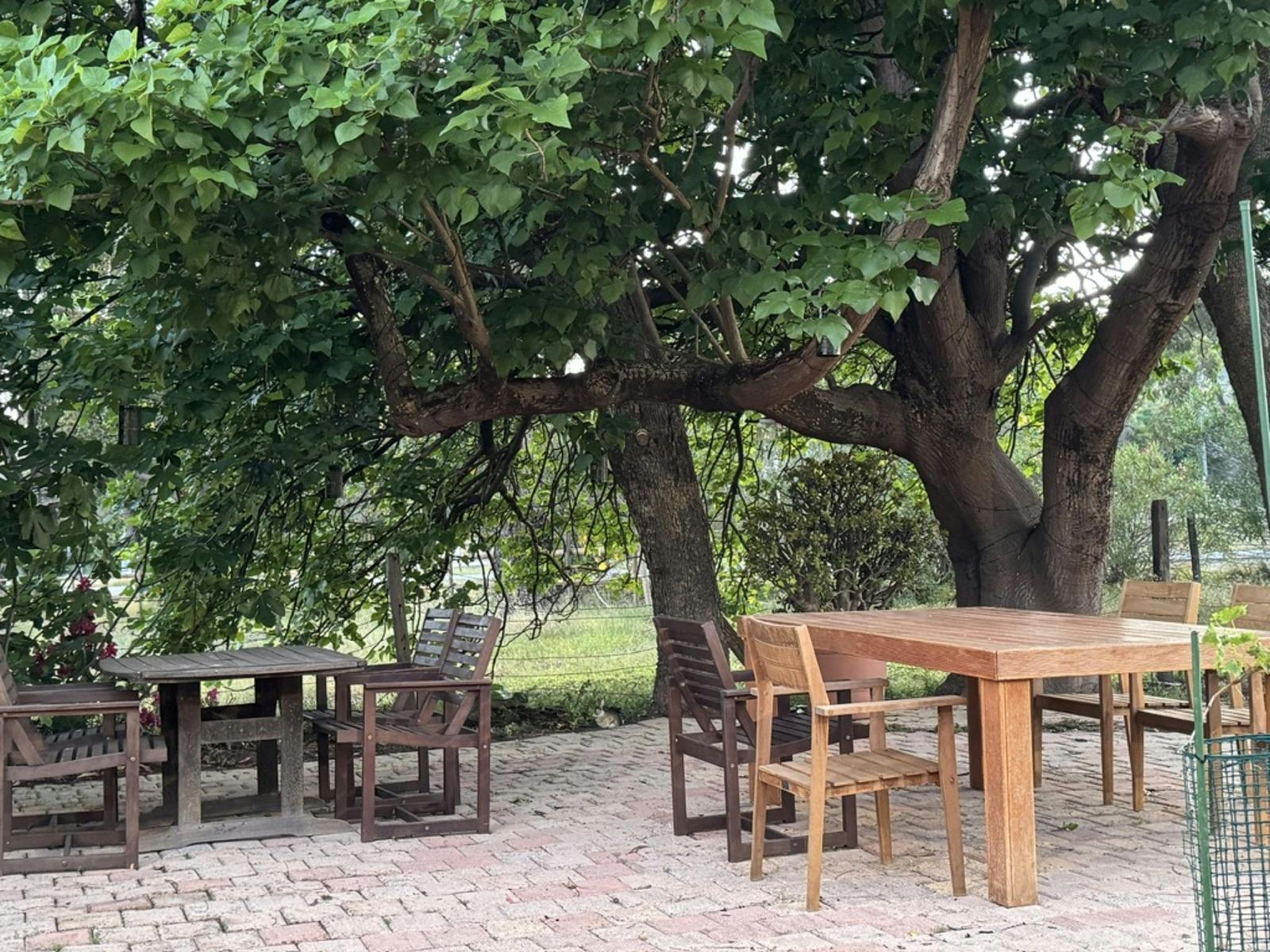 Jadran Winery casual seating to enjoy your wine purchase under the trees with the local animals