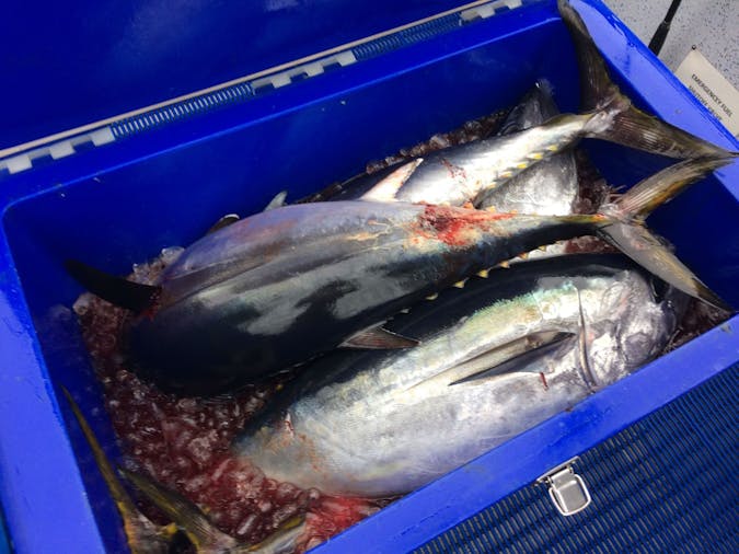 Bottom End Fishing Adventures