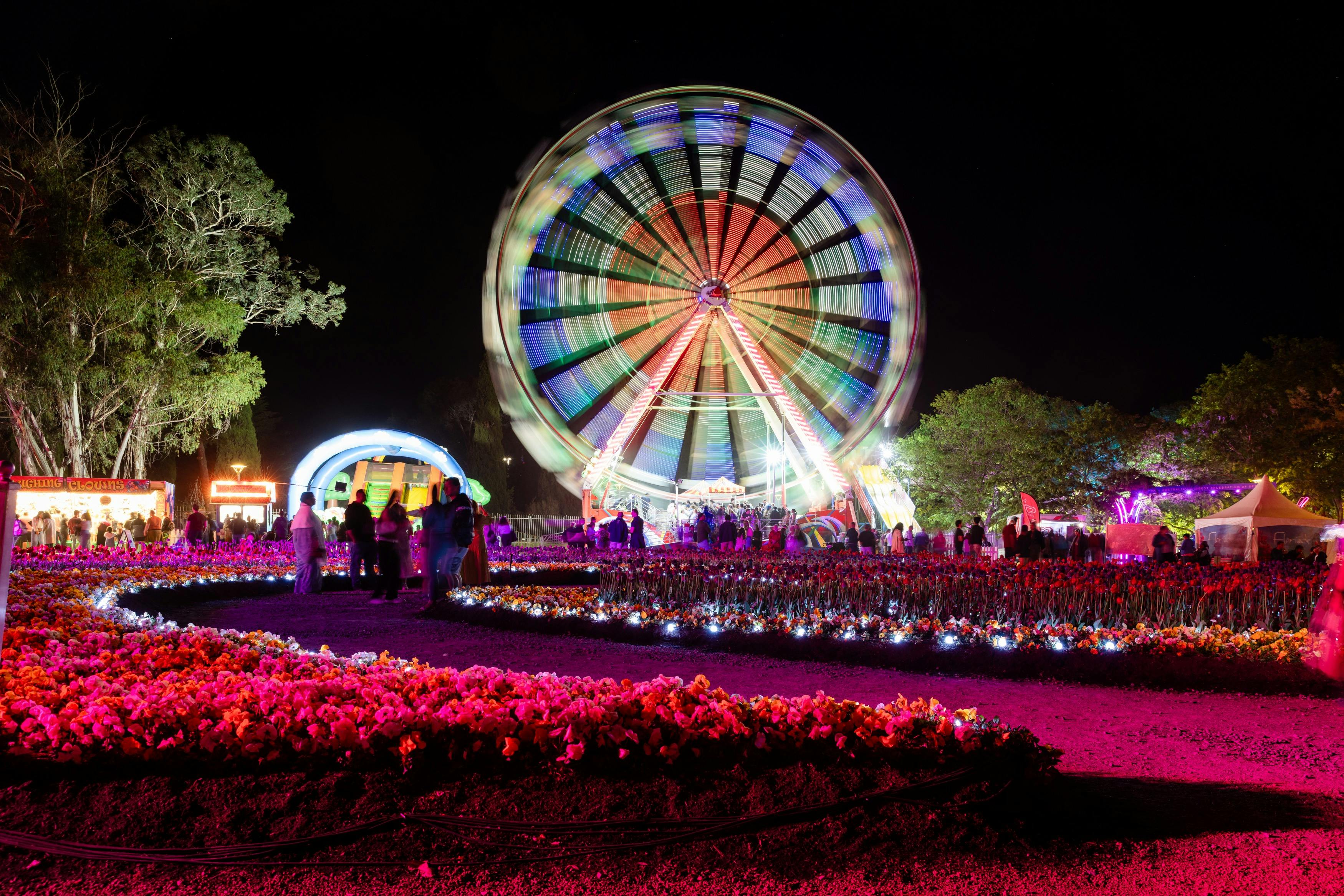 NightFest 2025