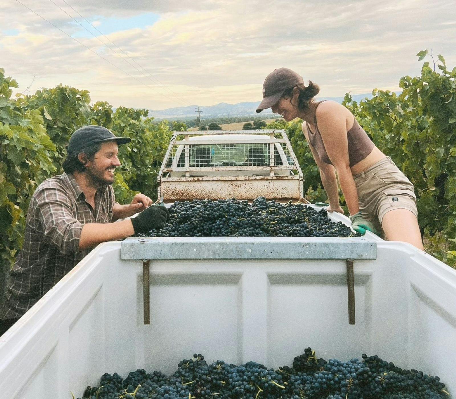 Aristotelis Ke Anthoula