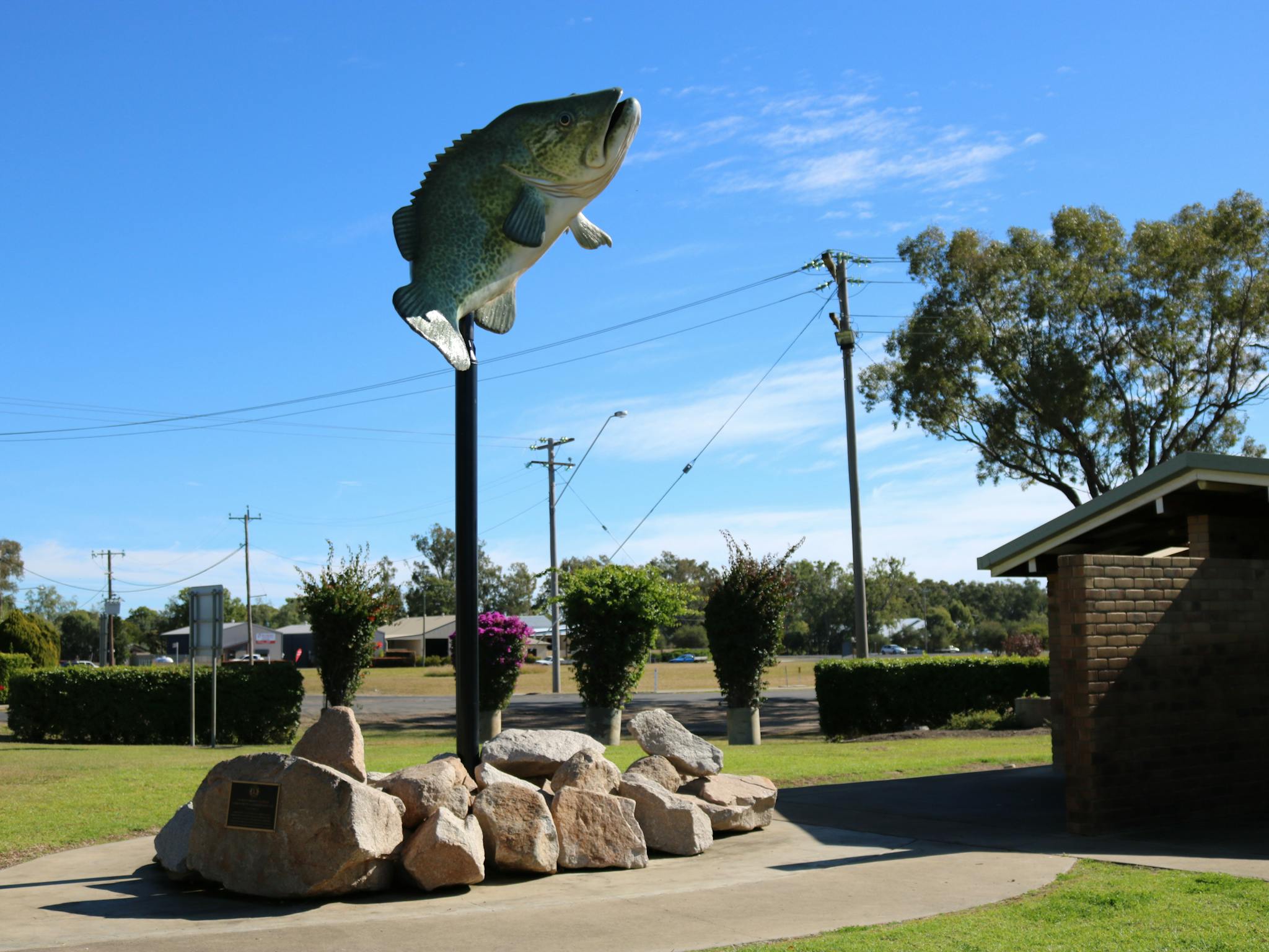 Big Cod statue at Goondiwindi Redmond Park Big Cod statue at Goondiwindi Redmond Park