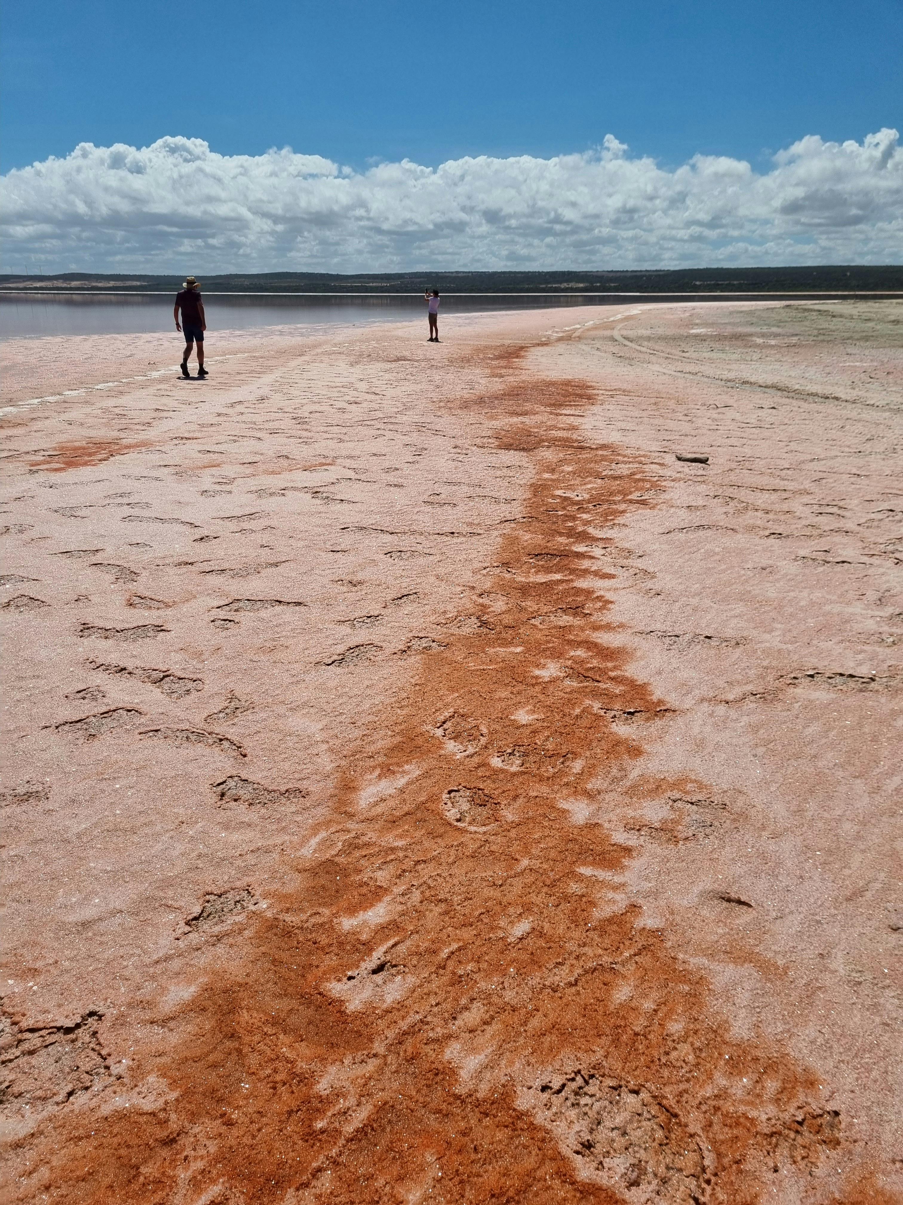 Orange algae on the dried up pink lake