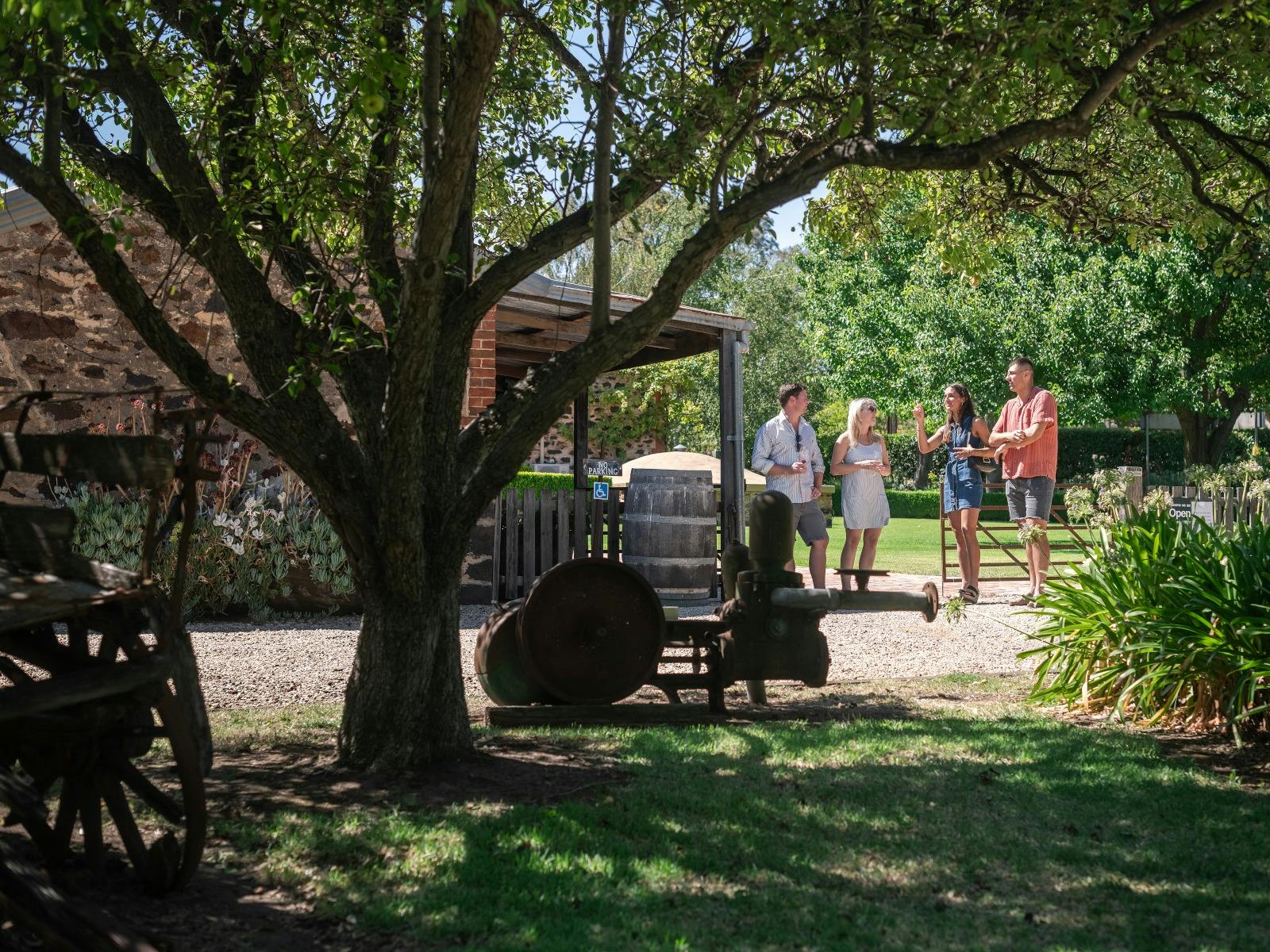 Guided Freedom Experience: Explore Barossa's history with tastings in the oldest Shiraz vineyard
