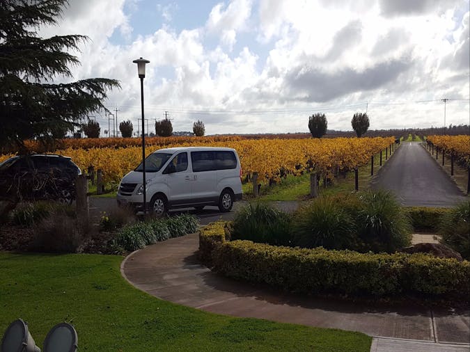 Coonawarra Cellar Door Full Day Tour