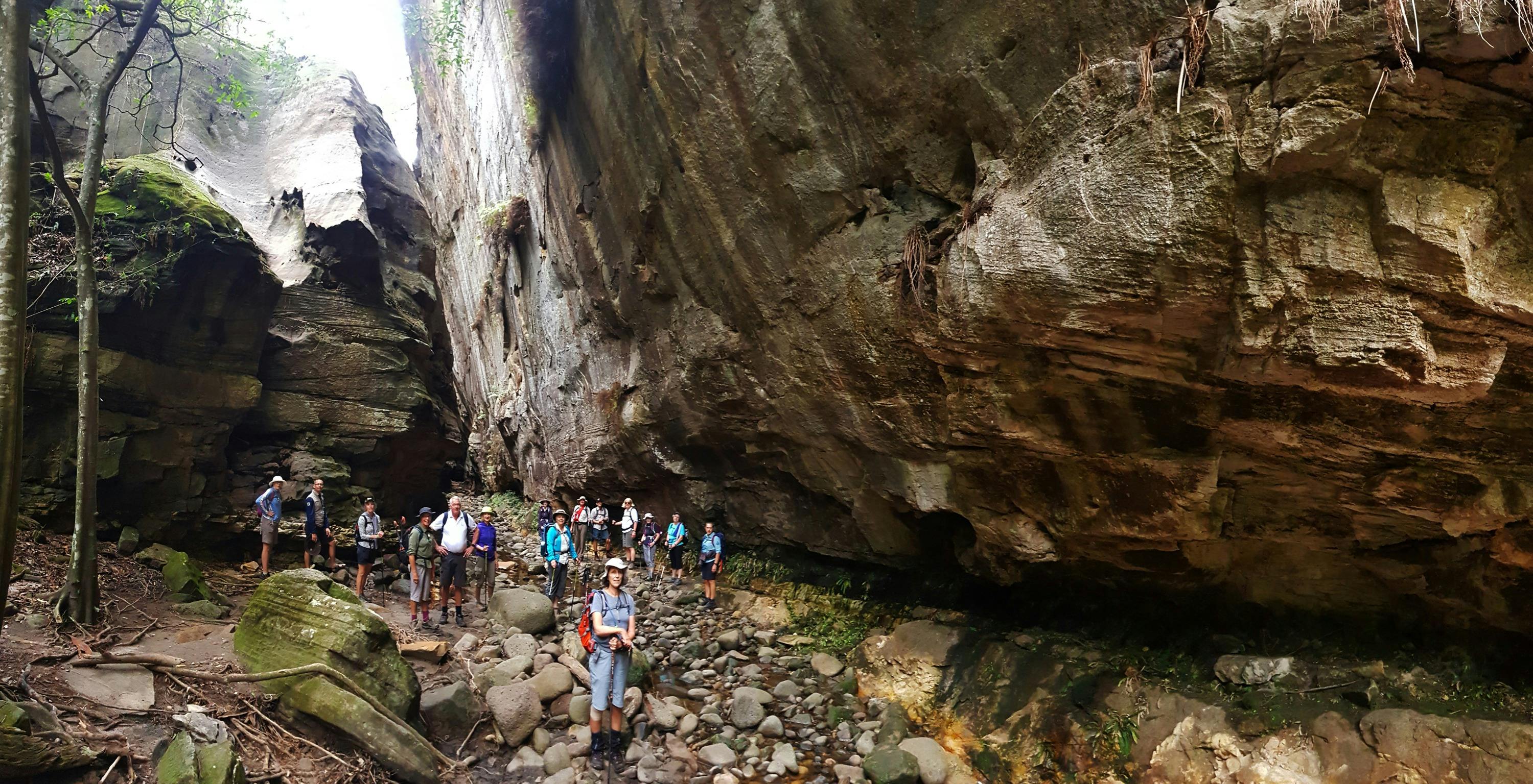 Walkers in Carnarvon Gorge