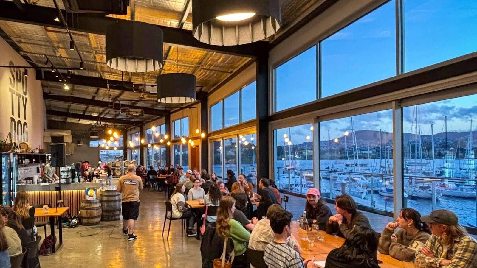 Spotty Dog Brewery and Taphouse