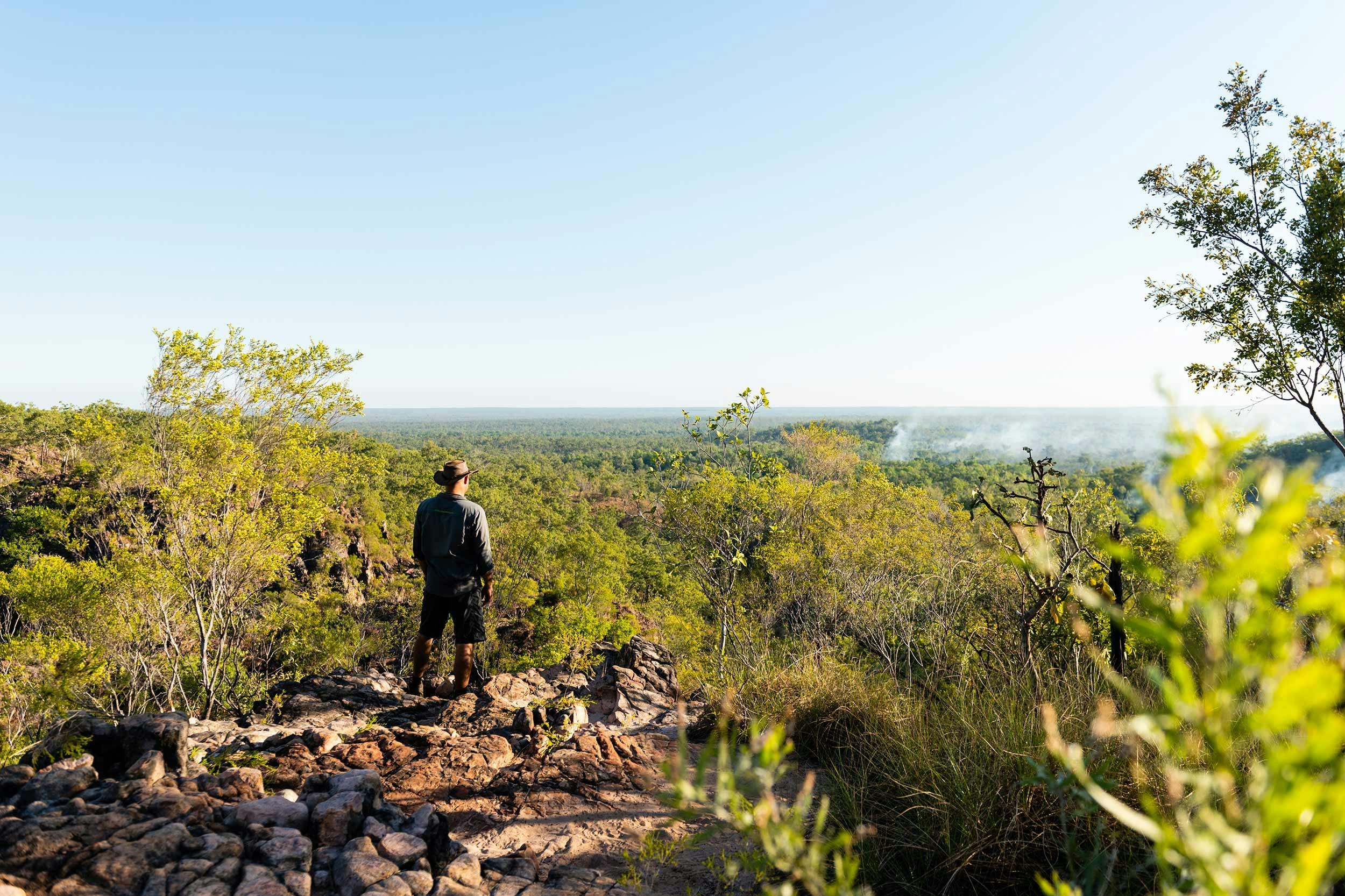 Tolmer Falls lookout
