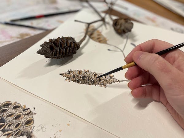 Summer Fun: Watercolour, Gouache and Graphite Masterclass with Stu Doherty