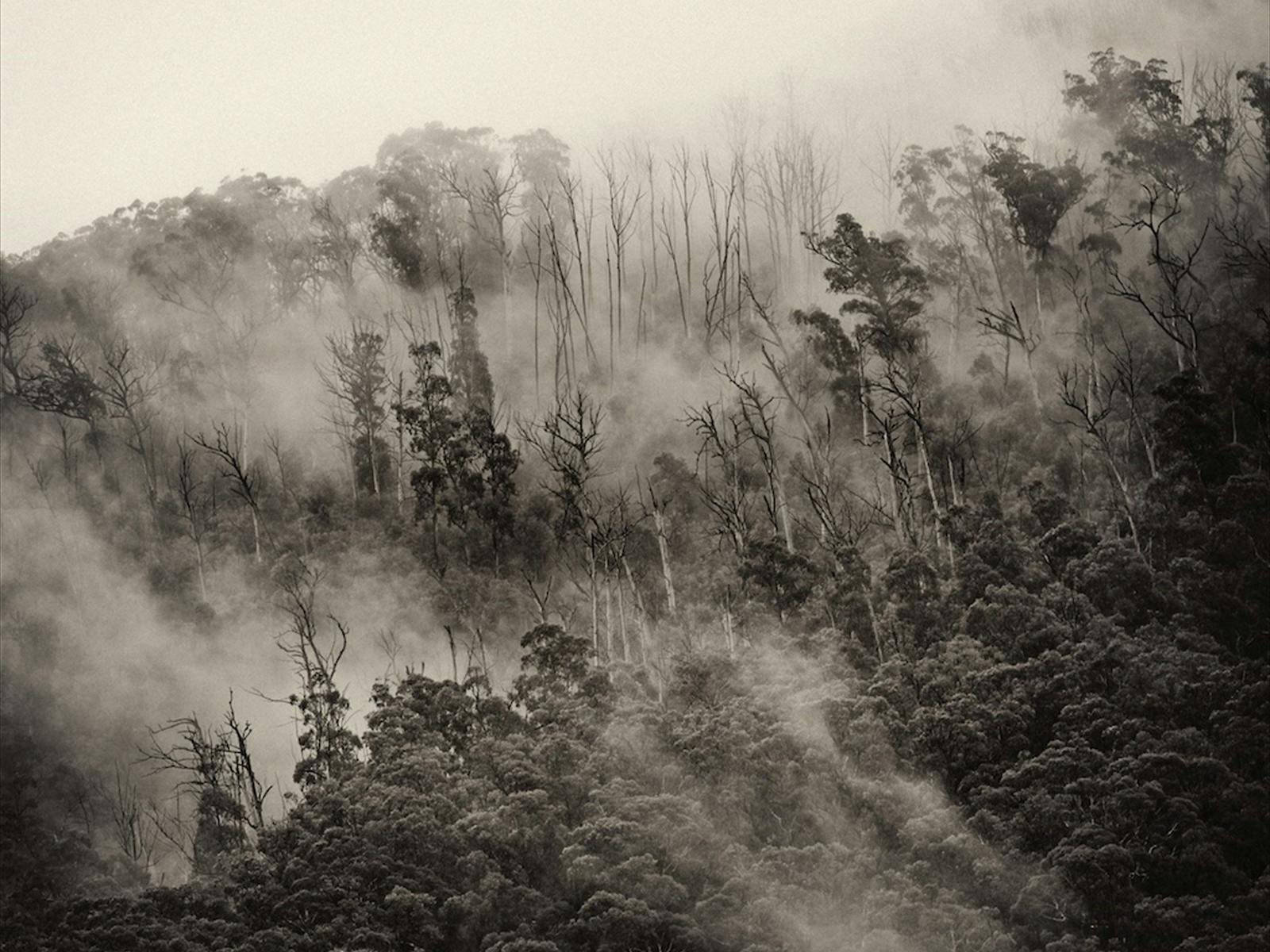 Image for Capture the High Country - Photography Weekends