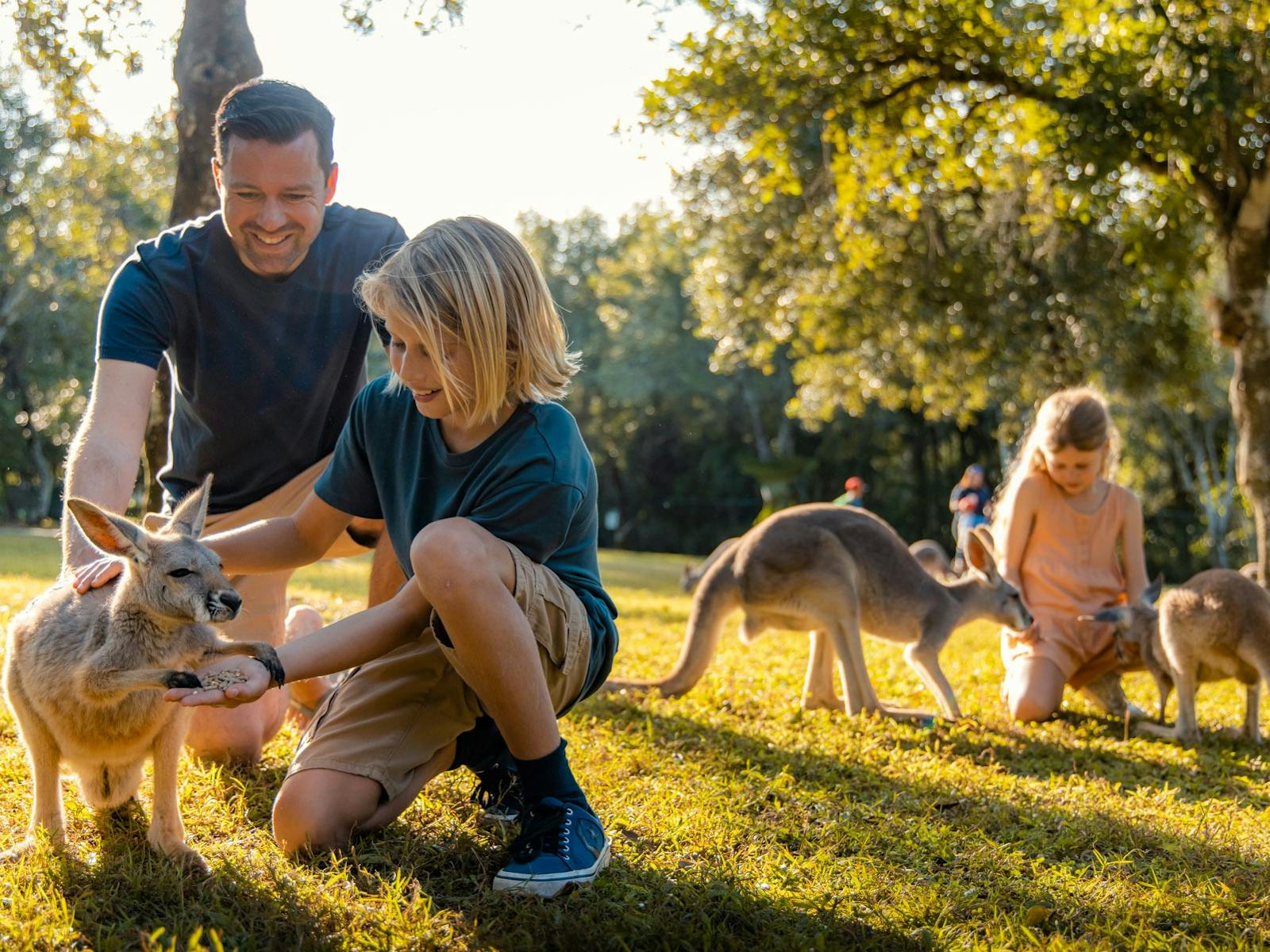 AUSTRALIA ZOO, BEERWAH