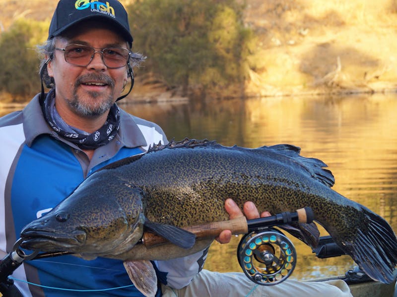 Northern Rivers Sportfishing
